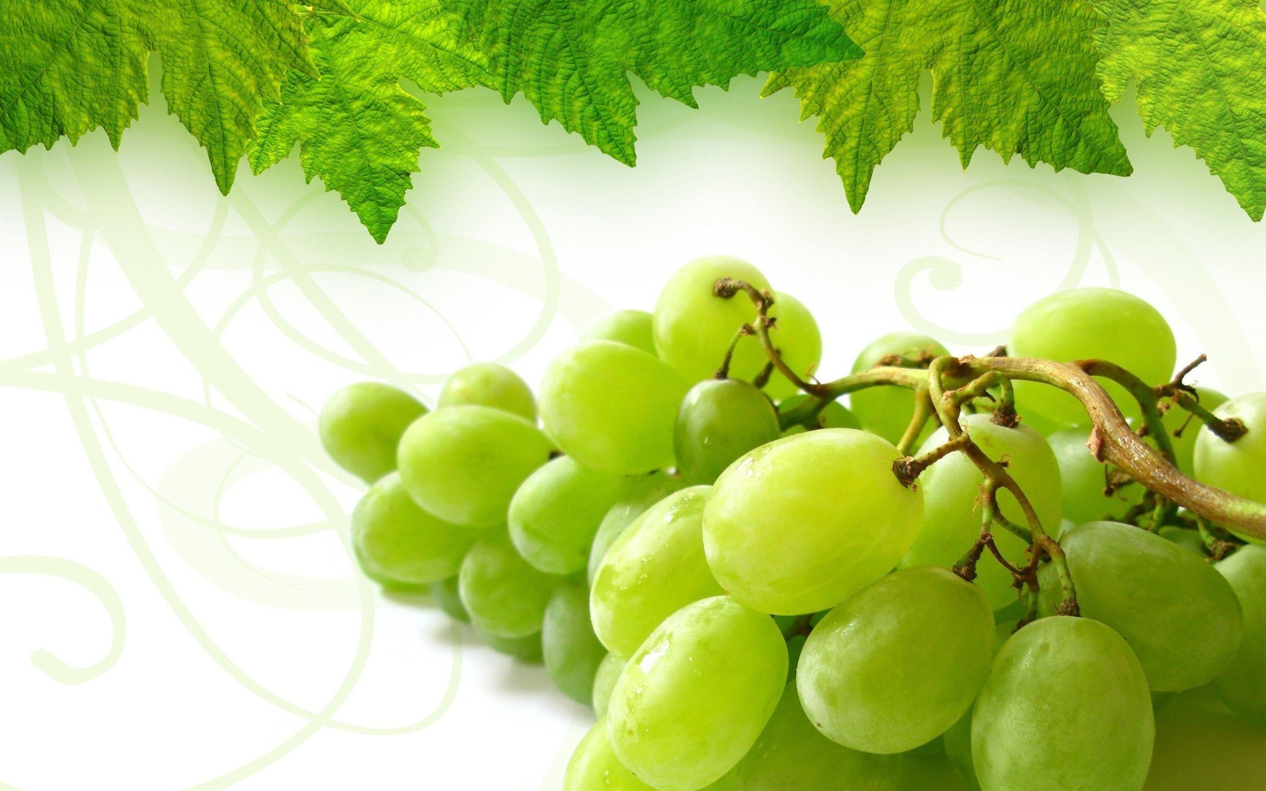 2560x1600 Fruit Wallpaper For Desktop Fruits Wallpaper Fruit