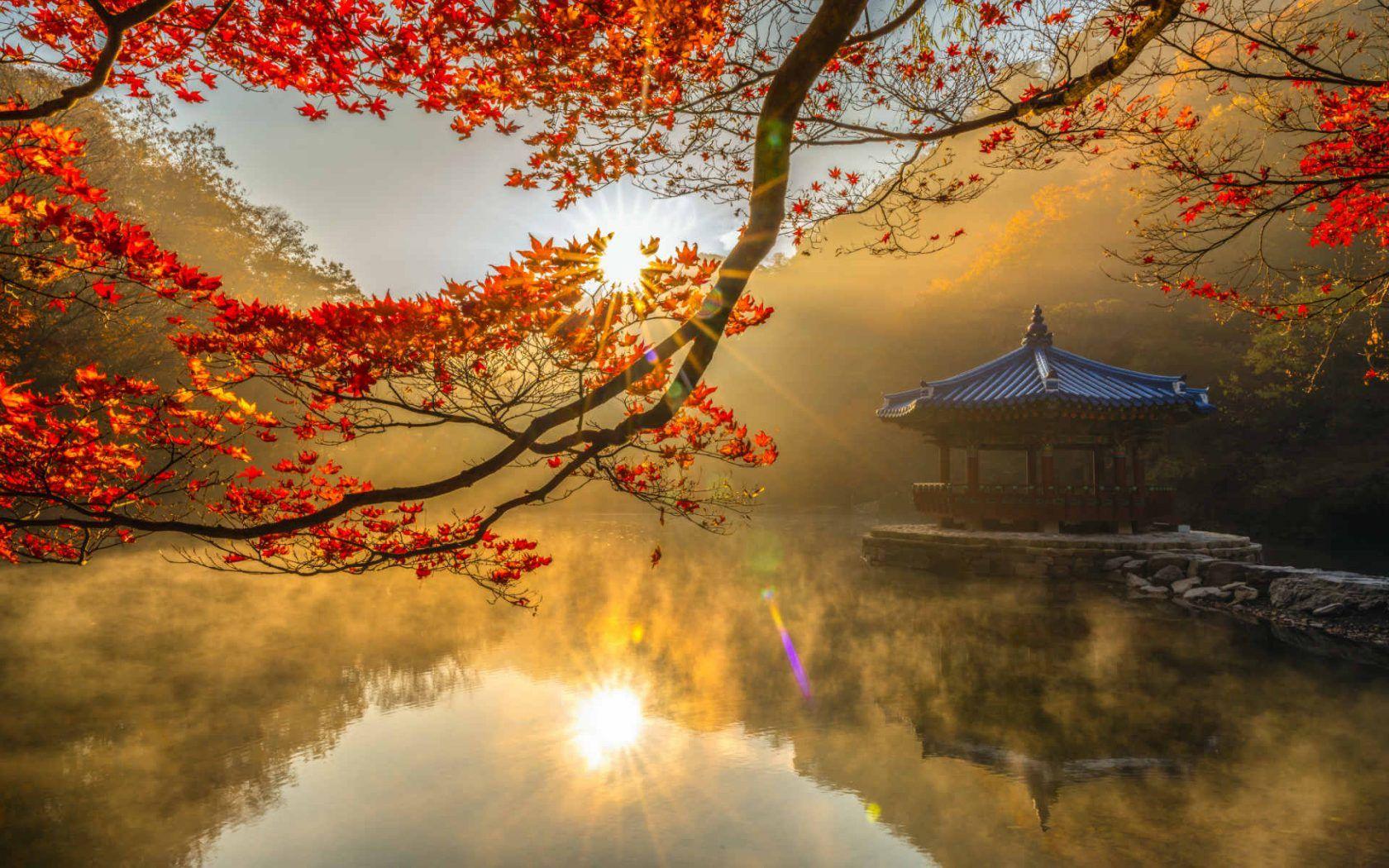 Korean Autumn Wallpapers - Top Free Korean Autumn Backgrounds