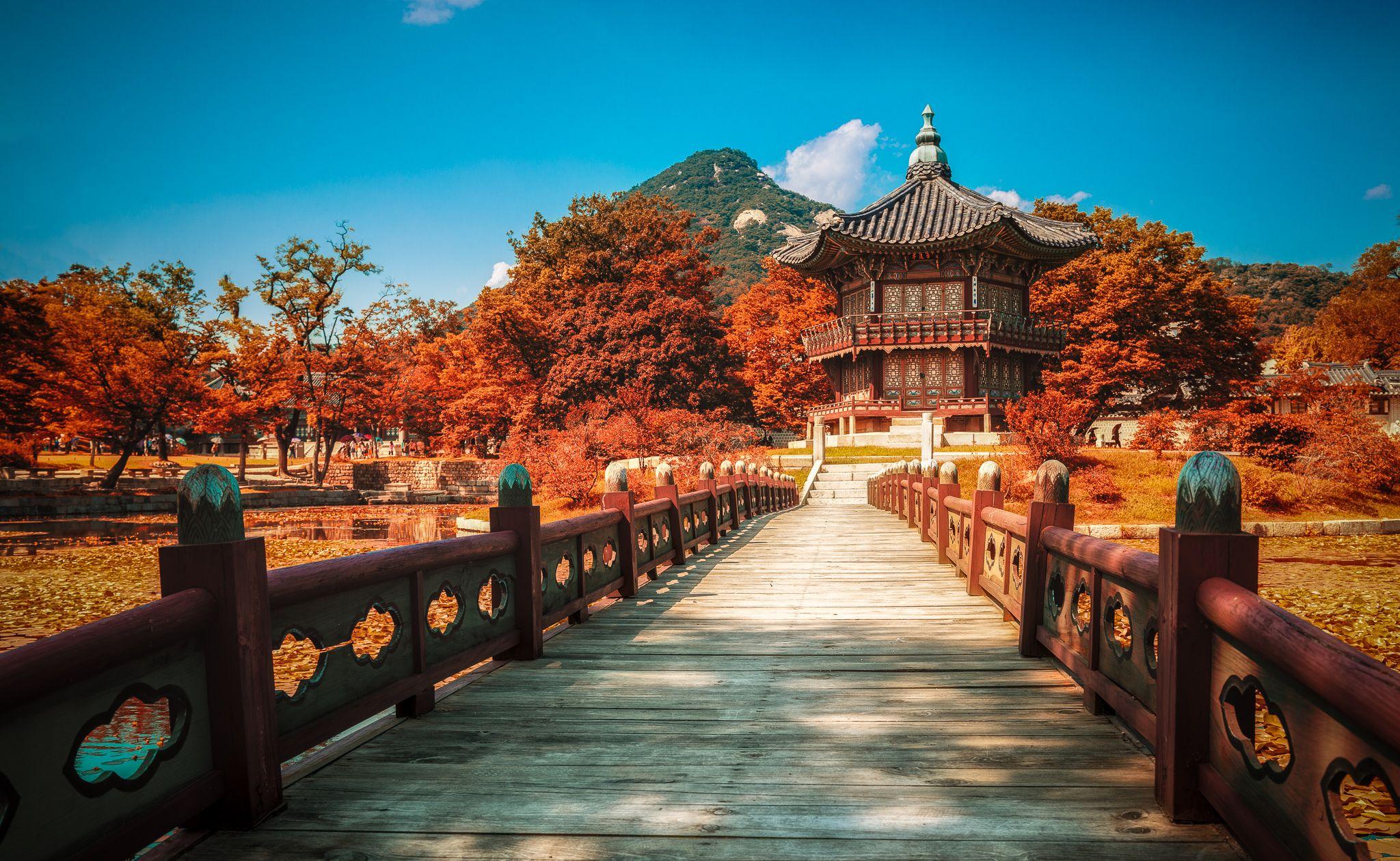 2048x1260 South Korea Tiger in Asia