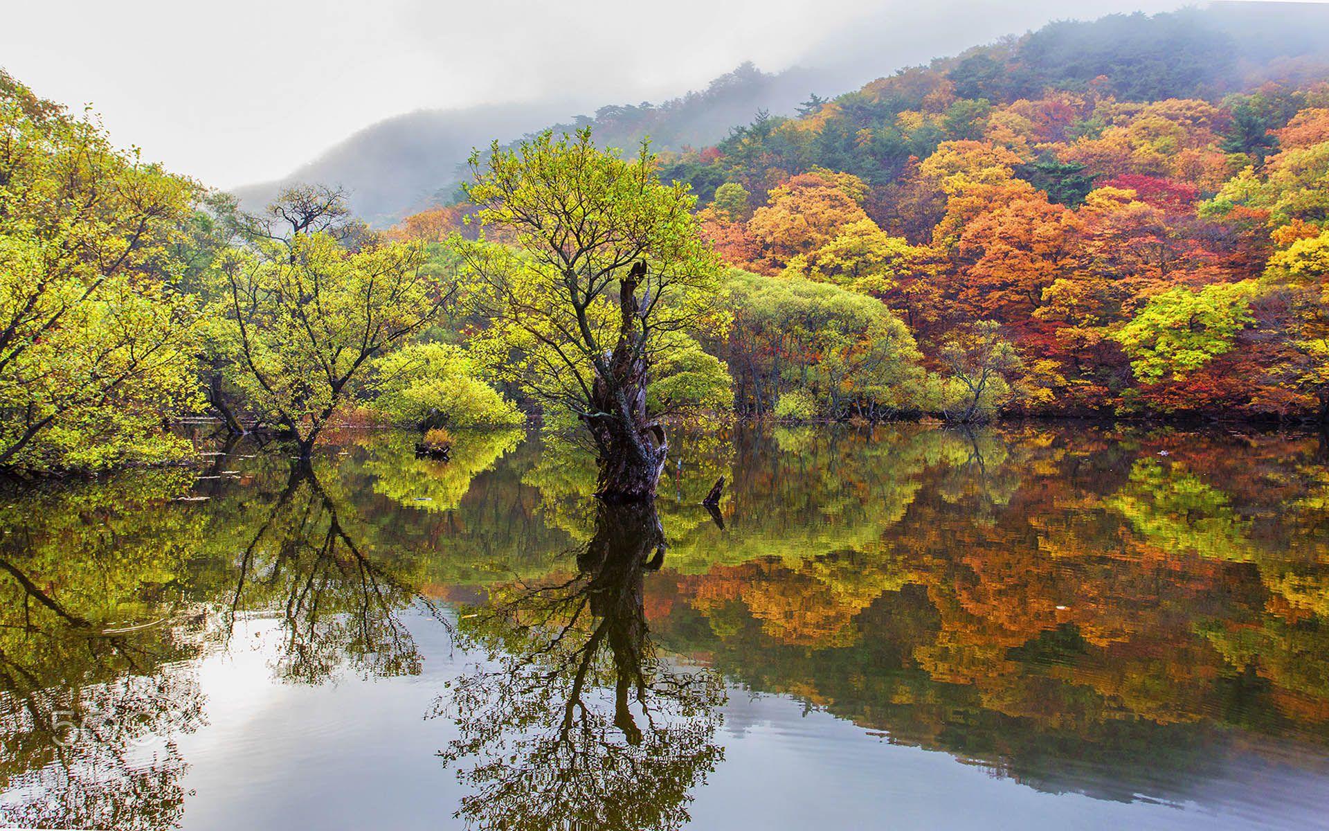 1920x1200 Autumn Trees With Autumn Leaves Reflection In Water