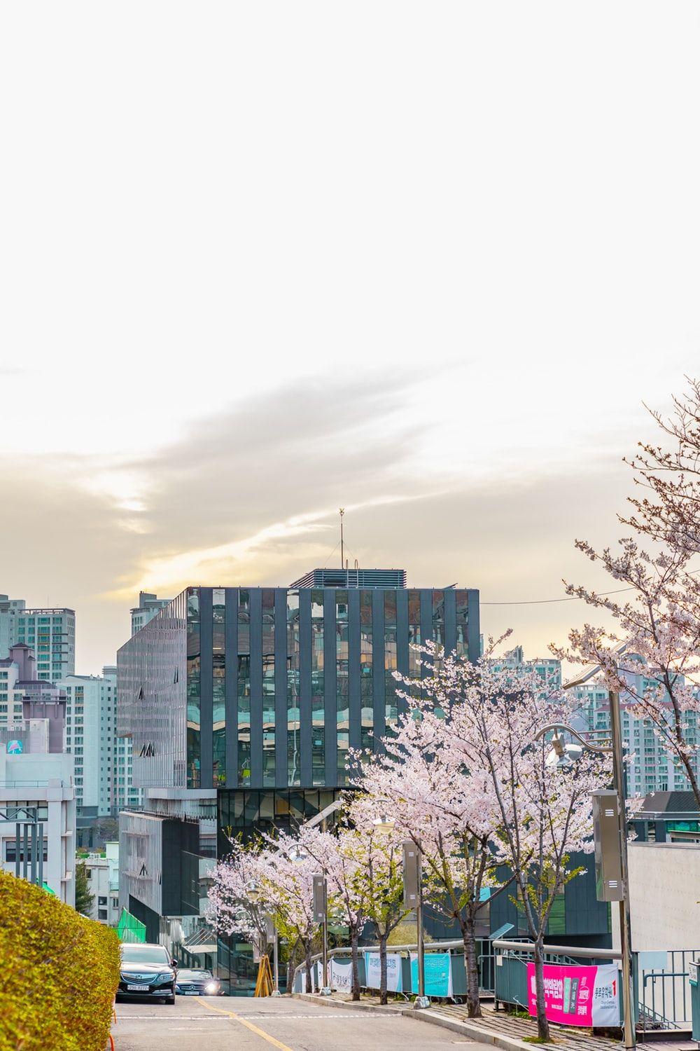 1000x1500 Stunning Seoul South Korea Picture. Download Free Image