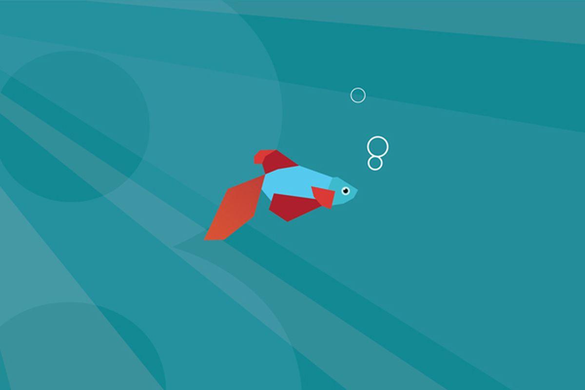 1200x800 Windows 8 Consumer Preview wallpaper leak ahead of grand debut
