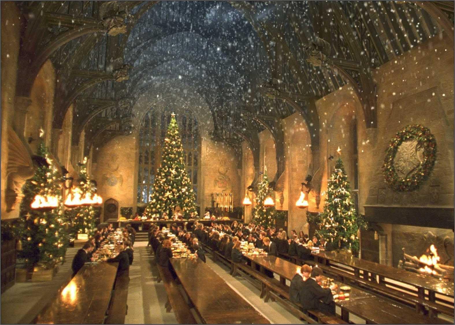 Harry Potter Christmas Wallpapers - Top Free Harry Potter Christmas  Backgrounds - WallpaperAccess