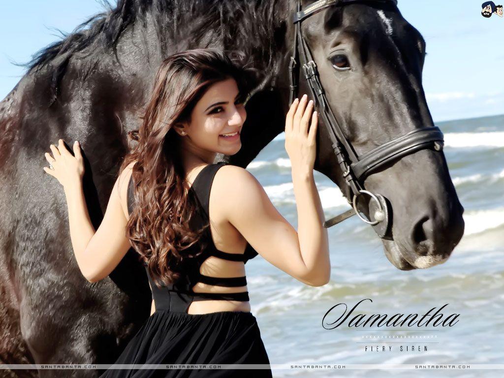 1024x768 Hot Bollywood Heroines & Actresses HD Wallpaper I Indian