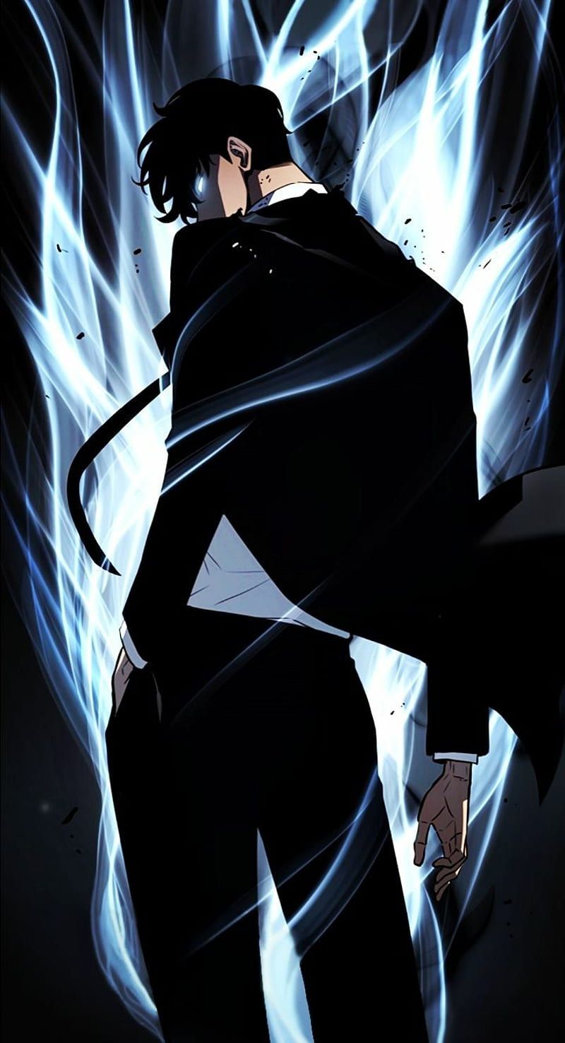 800x1476 Sung Jin Woo, Leveling, Solo, HD Phone