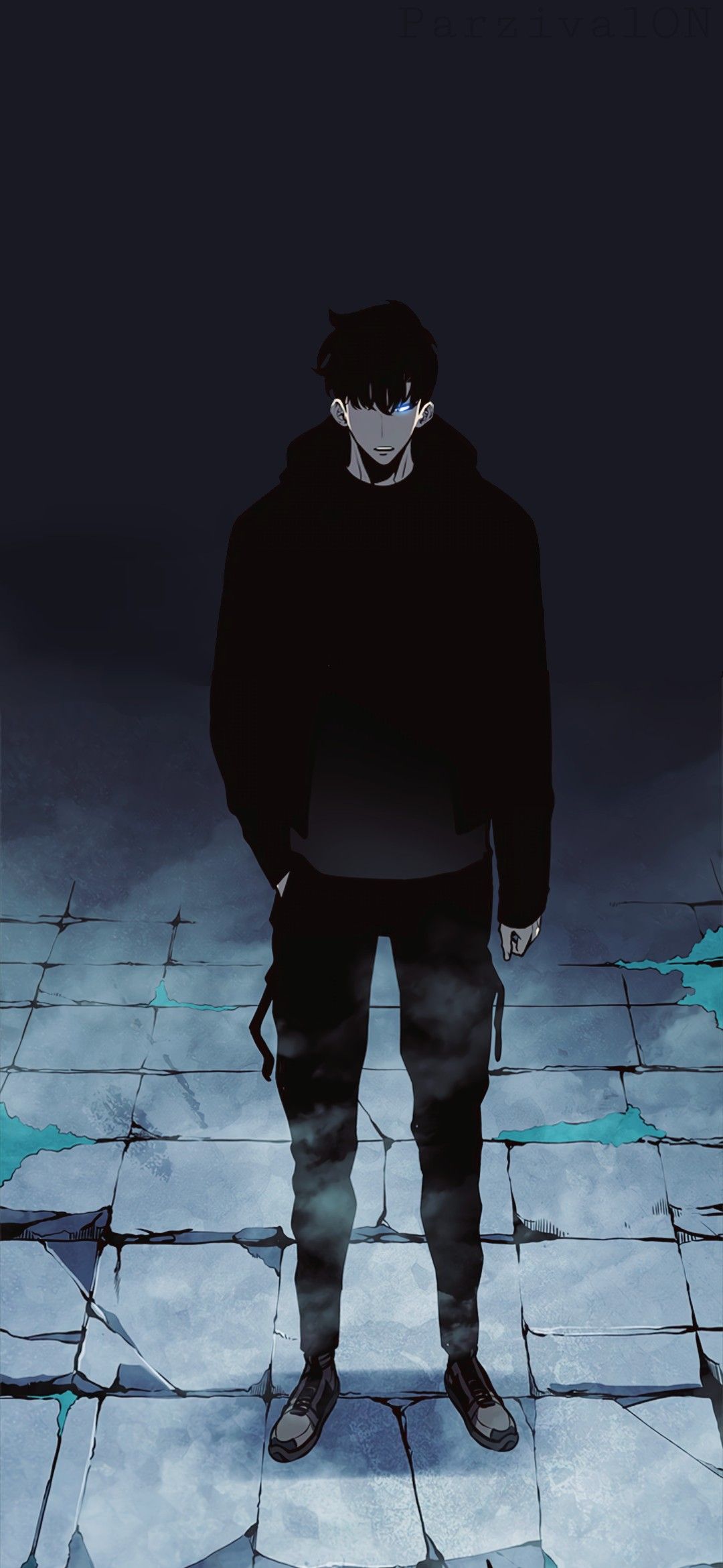 1080x2340 Solo Leveling (Sung Jin Woo) Ideas
