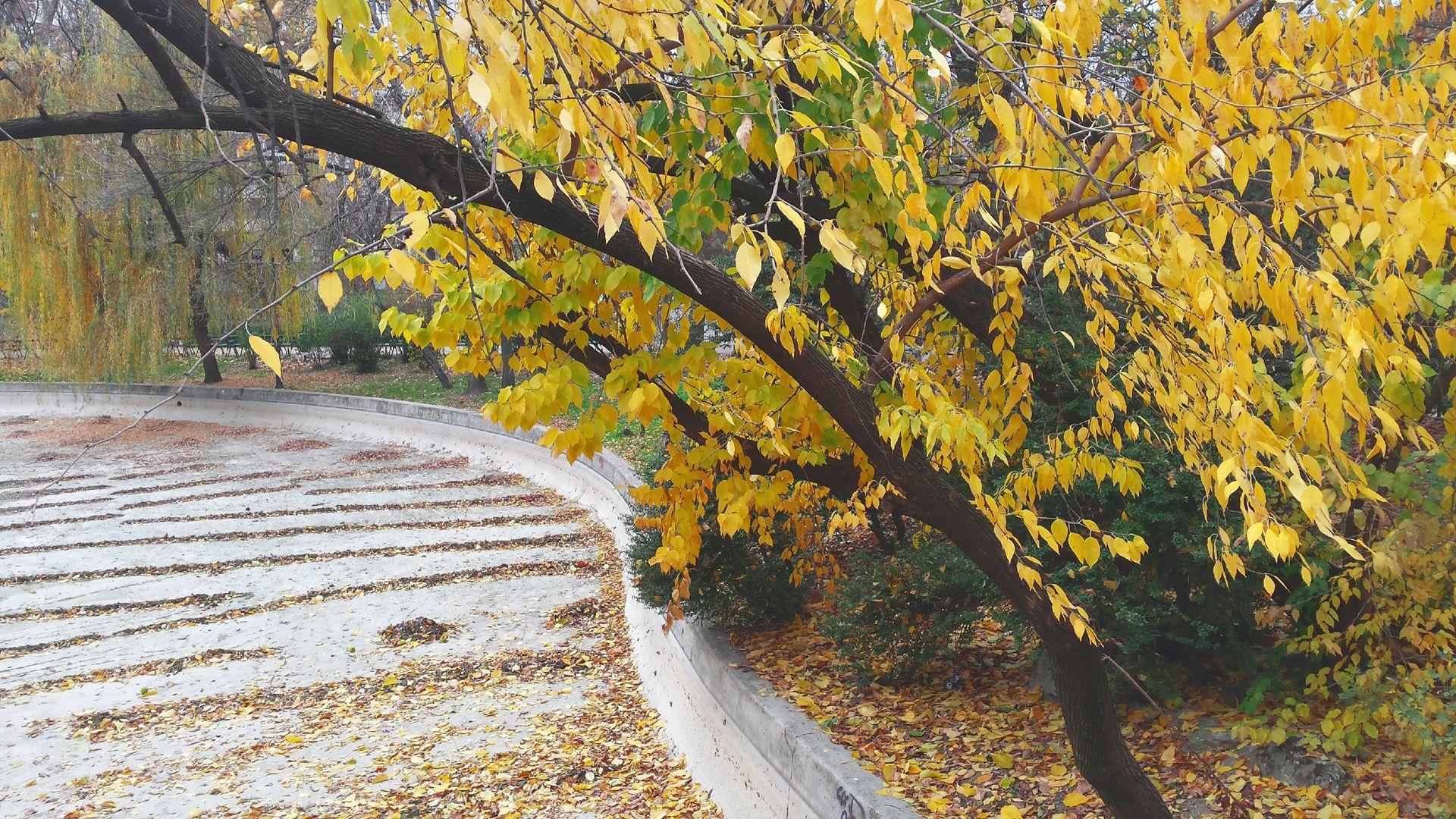 1920x1080 OC] Autumn in Cişmigiu Park, Bucharest (1) [1920 x 1080