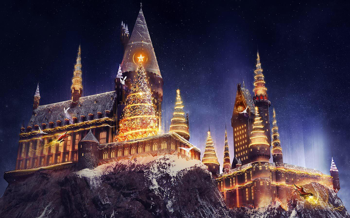 Harry Potter Christmas Wallpapers - Top Free Harry Potter Christmas