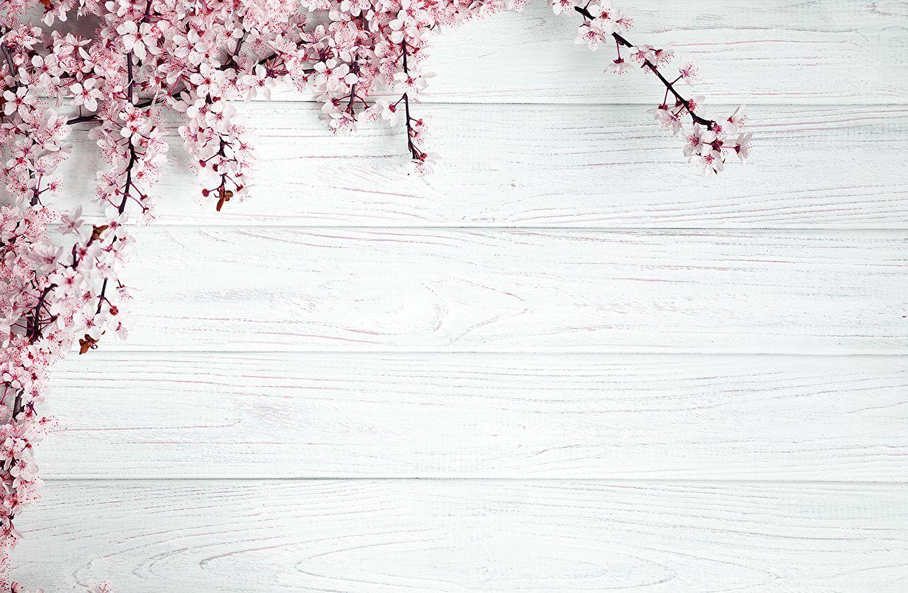 1280x837 Desktop Wallpaper Flowers Template greeting card Flowering