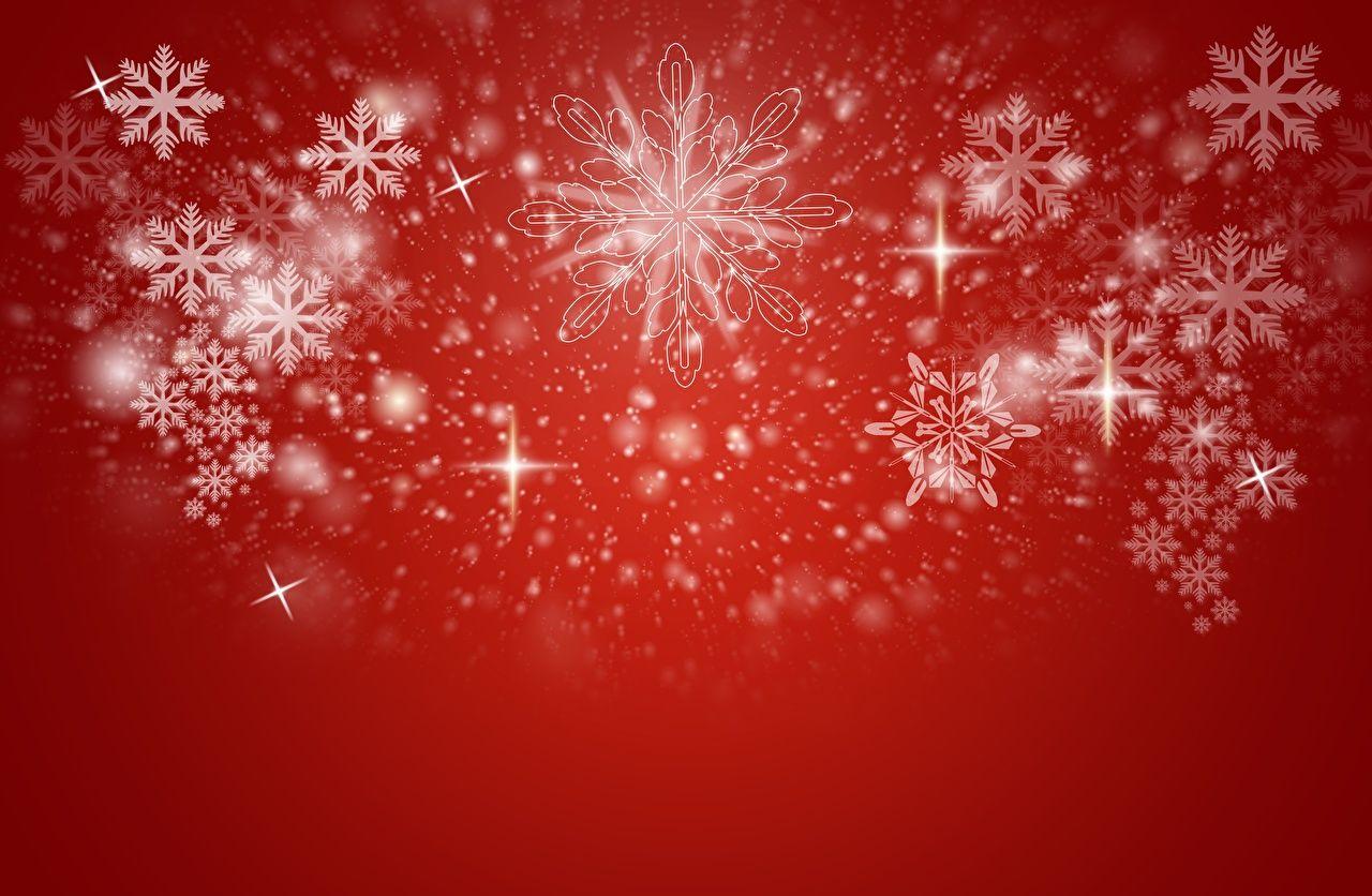 1280x836 Desktop Wallpaper Christmas Snowflakes Template greeting card Red