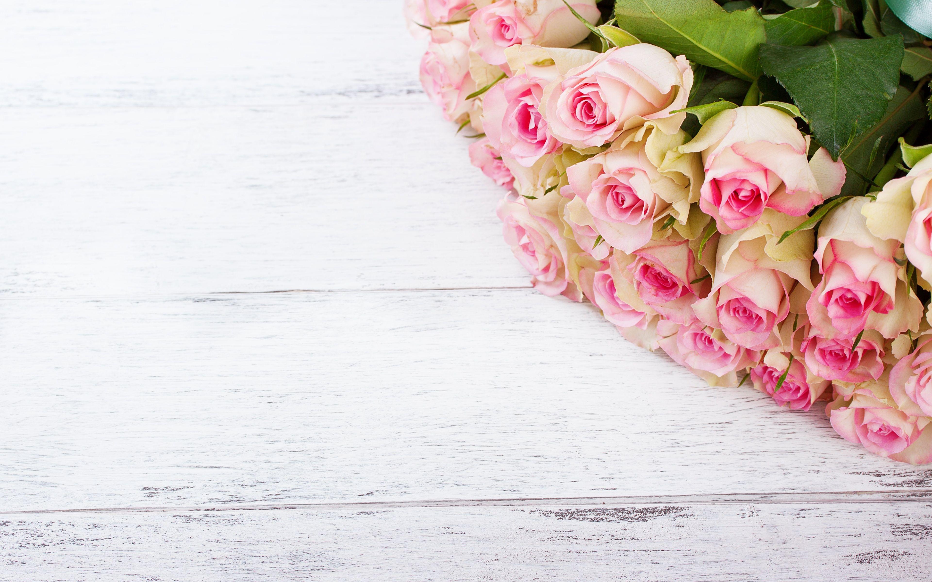 3840x2400 Desktop Wallpaper rose Flowers Template greeting card 3840x2400