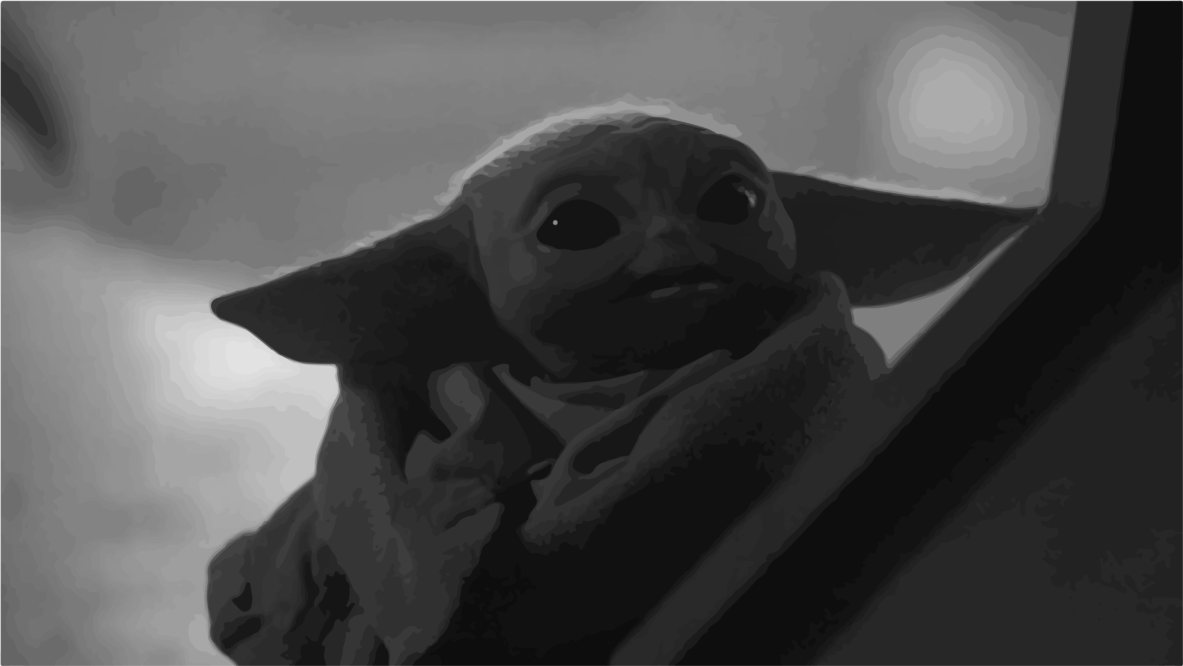 5004x2817 Yoda 4K wallpaper for your desktop or mobile screen free and easy to download