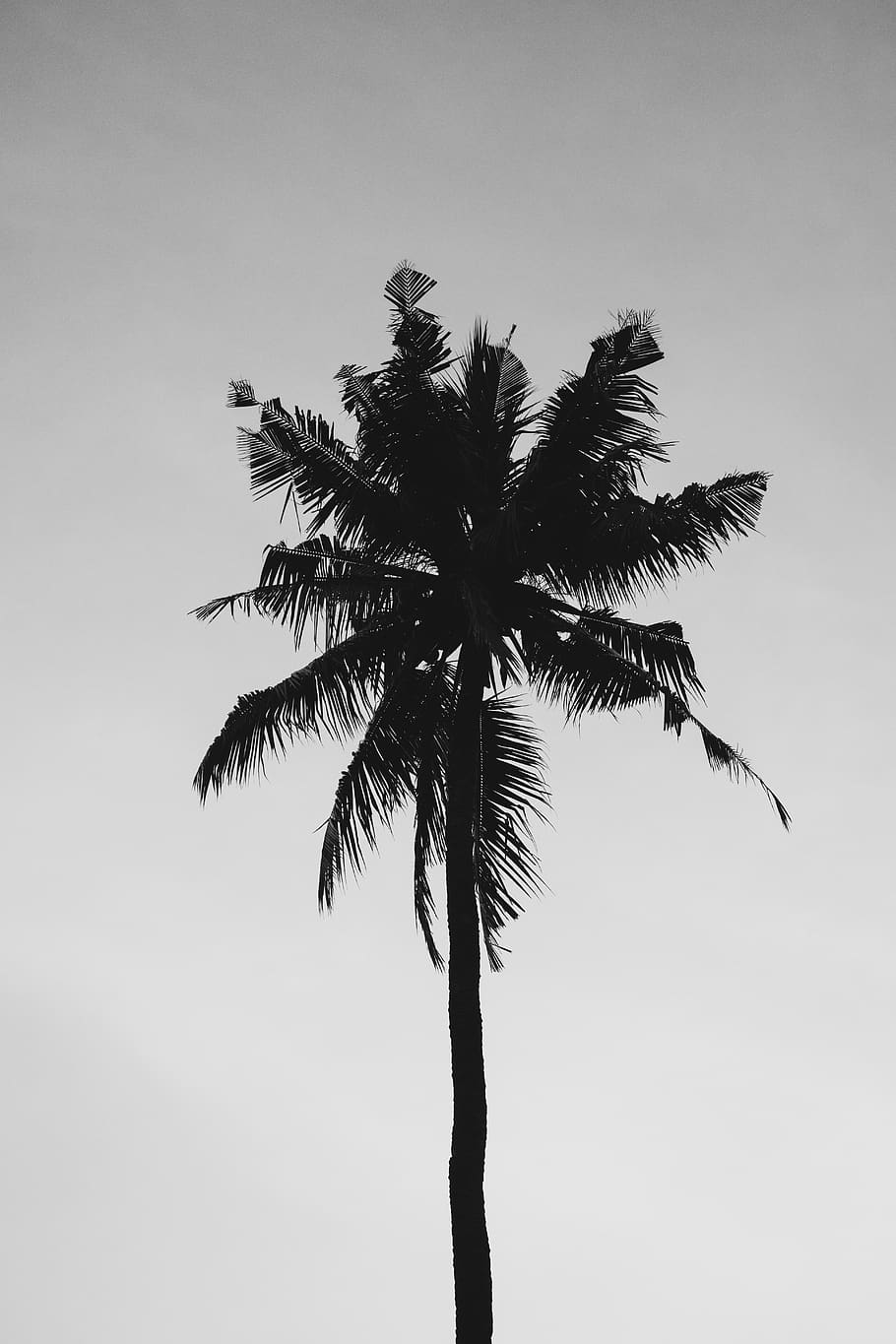 910x1365 HD wallpaper: indonesia, gili air, lombok, bali, desktop