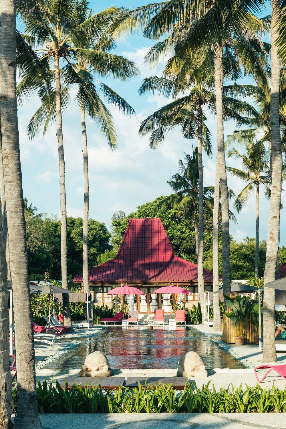 1000x1500 Lombok Island Picture. Download Free Image