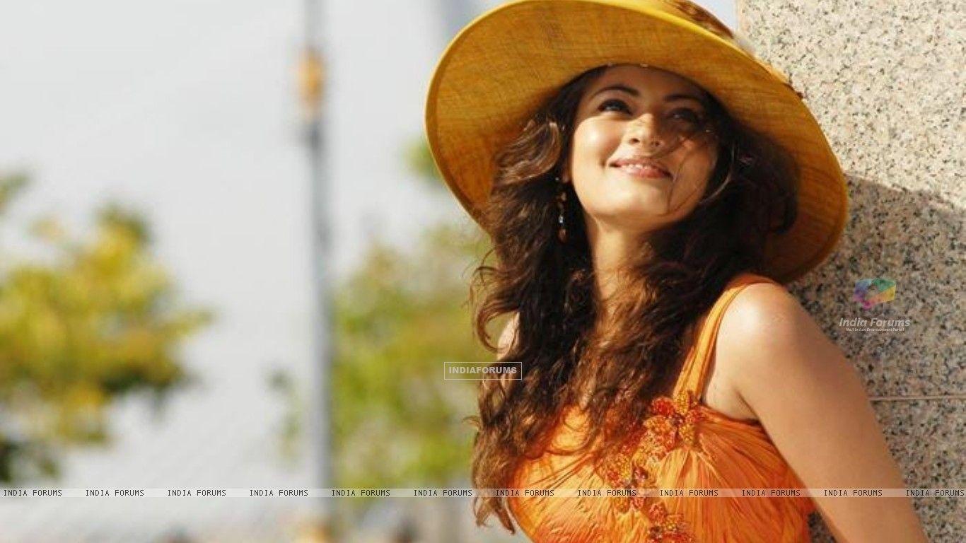 1366x768 Free download Sneha Ullal Sneha Ullal 23718 [1366x768]