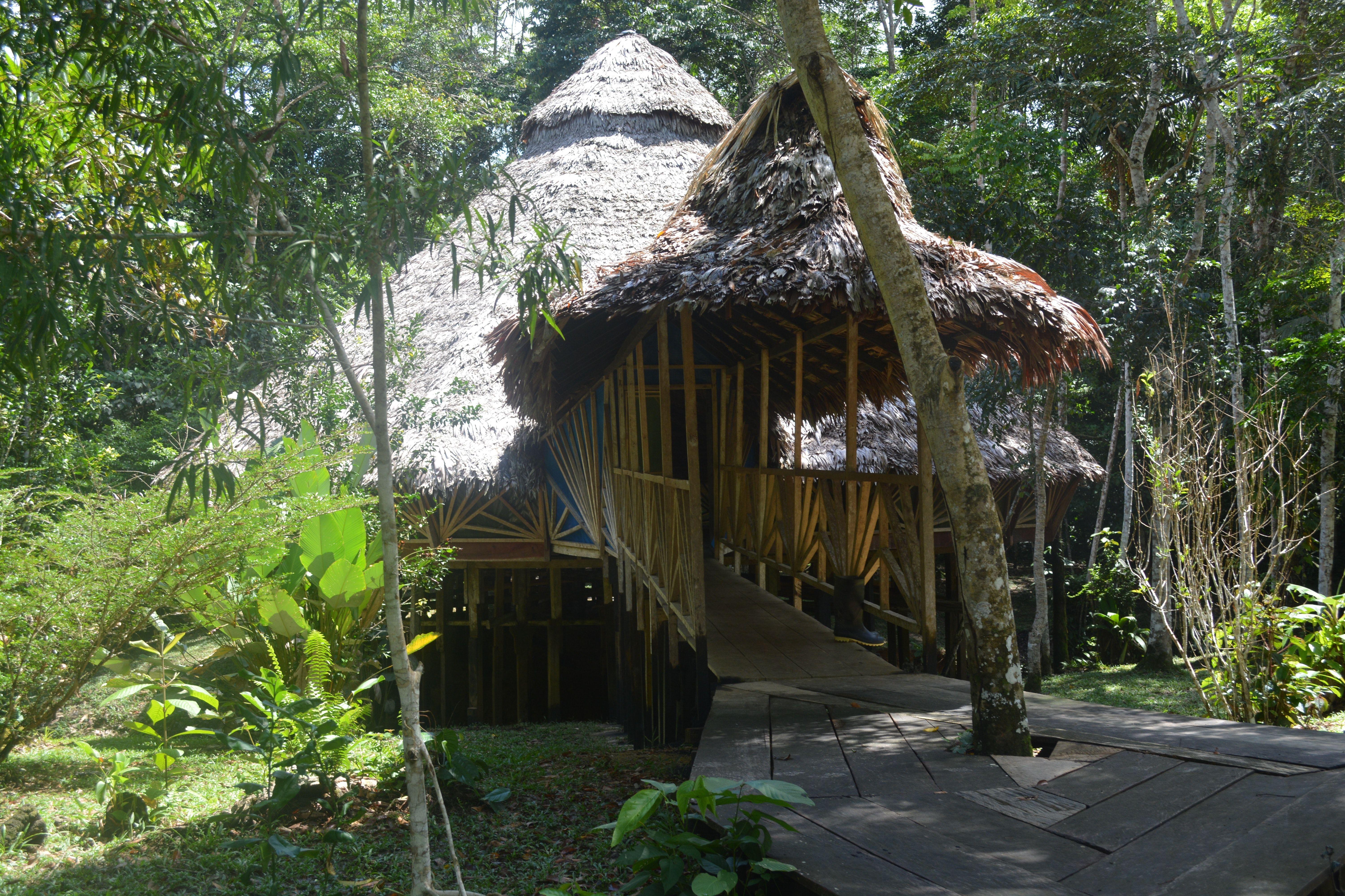 6000x4000 Free of ayahuasca, Ayahuasca Ceremony, DAS