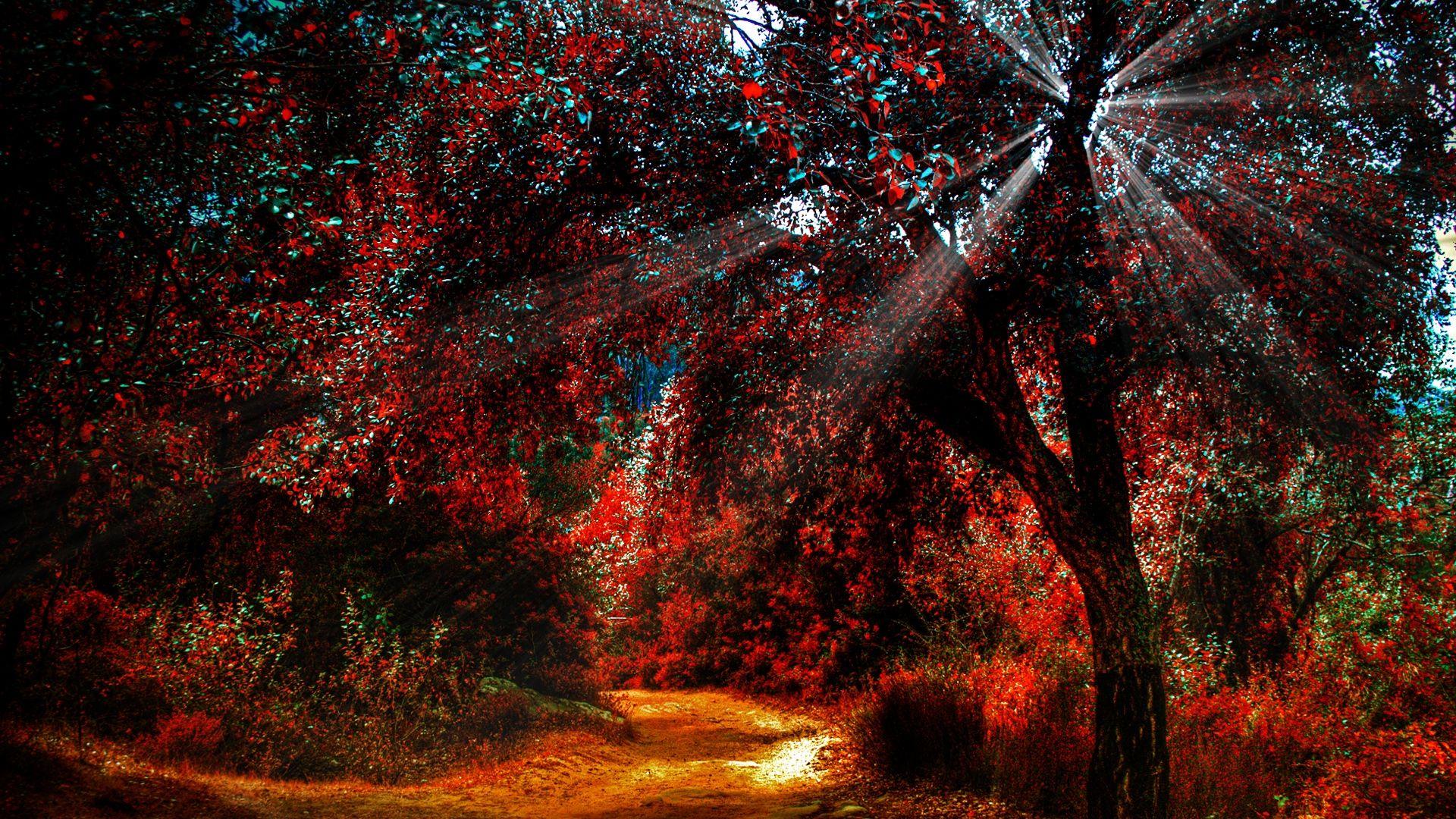 1920x1080 1920x1080 HD Autumn Wallpaper