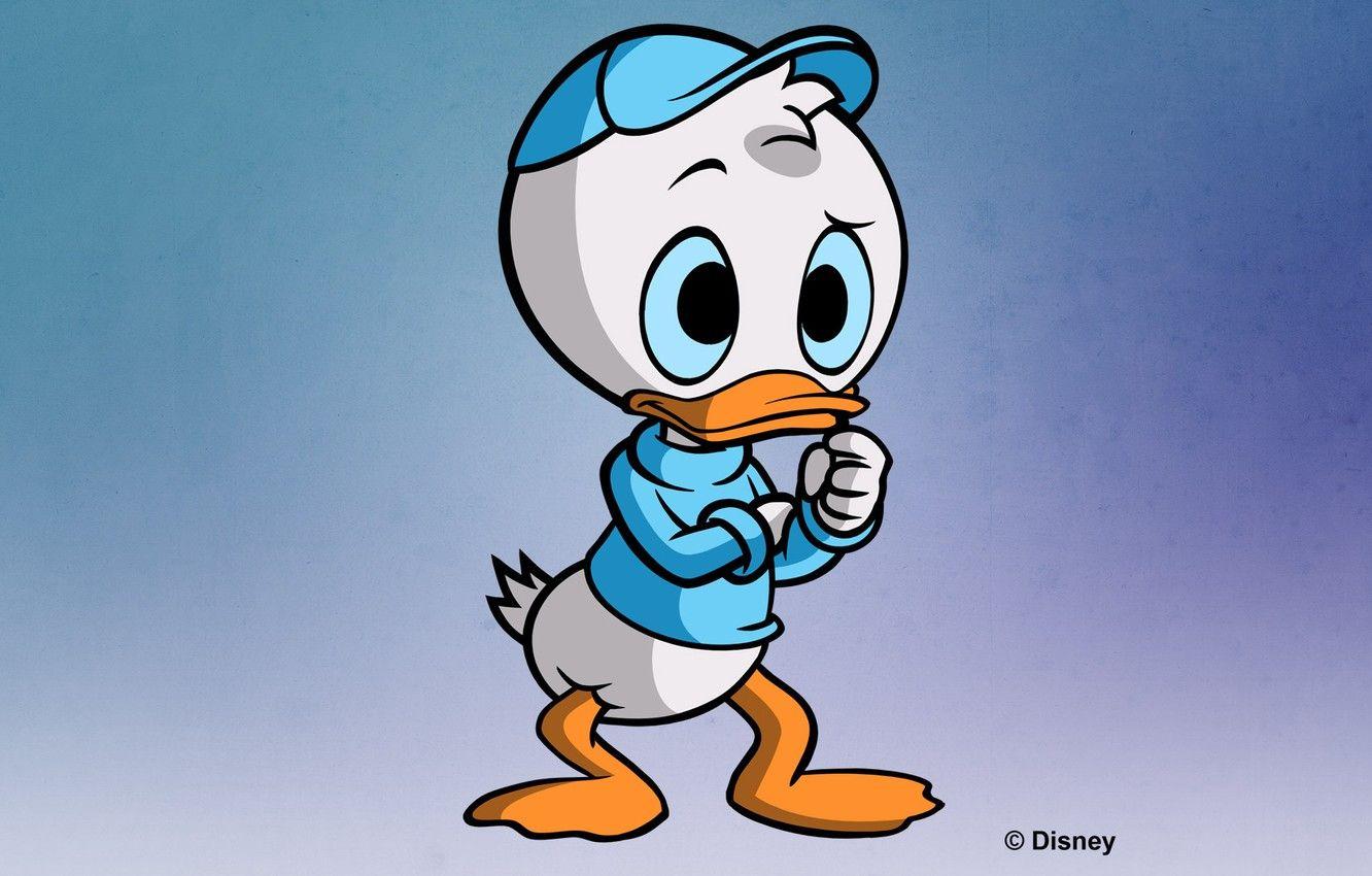 1332x850 Wallpaper Disney, Scrooge McDuck, Duck Tales, Ducktales