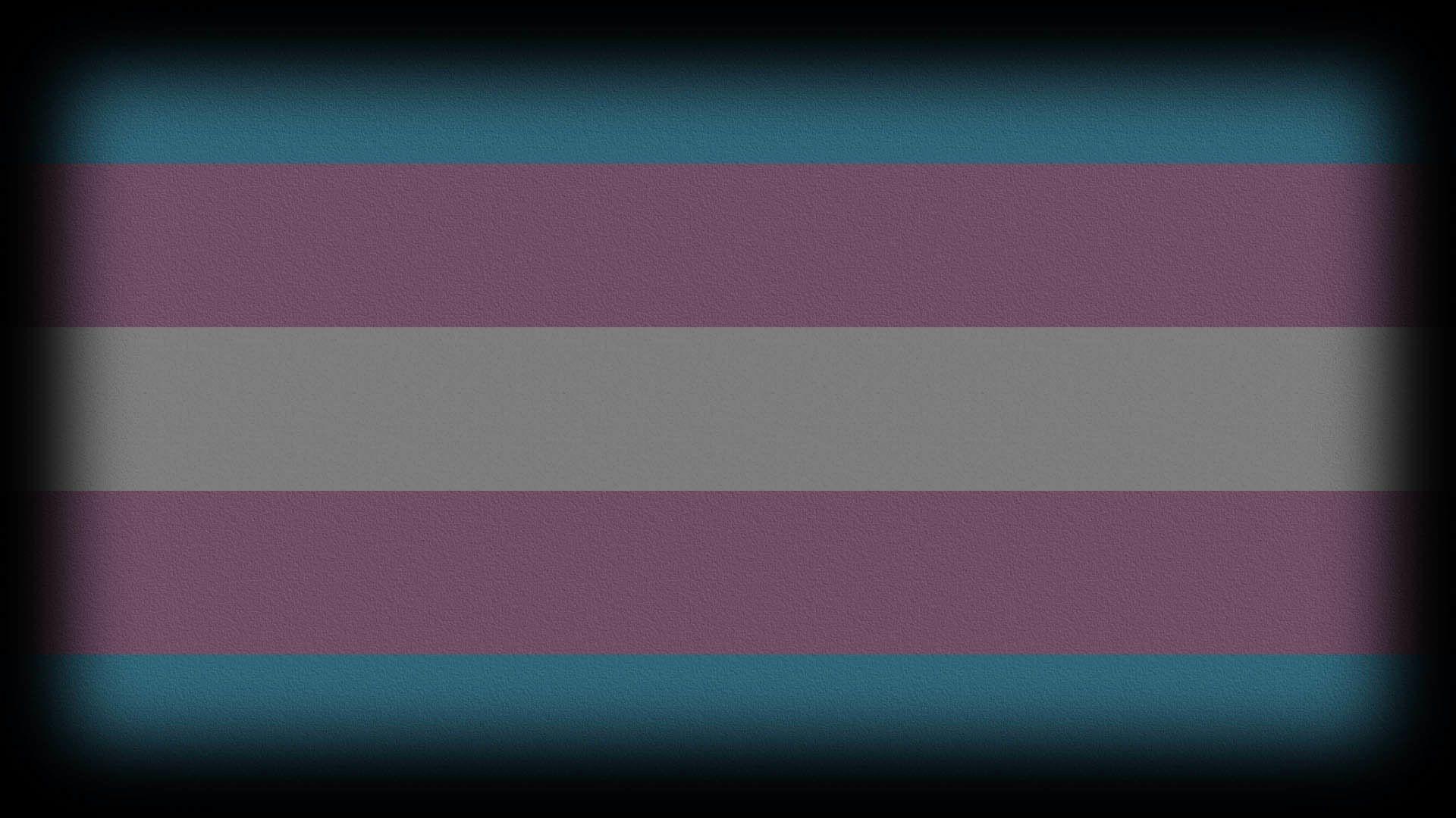 Transgender Pride Gay  Free image on Pixabay  Pixabay