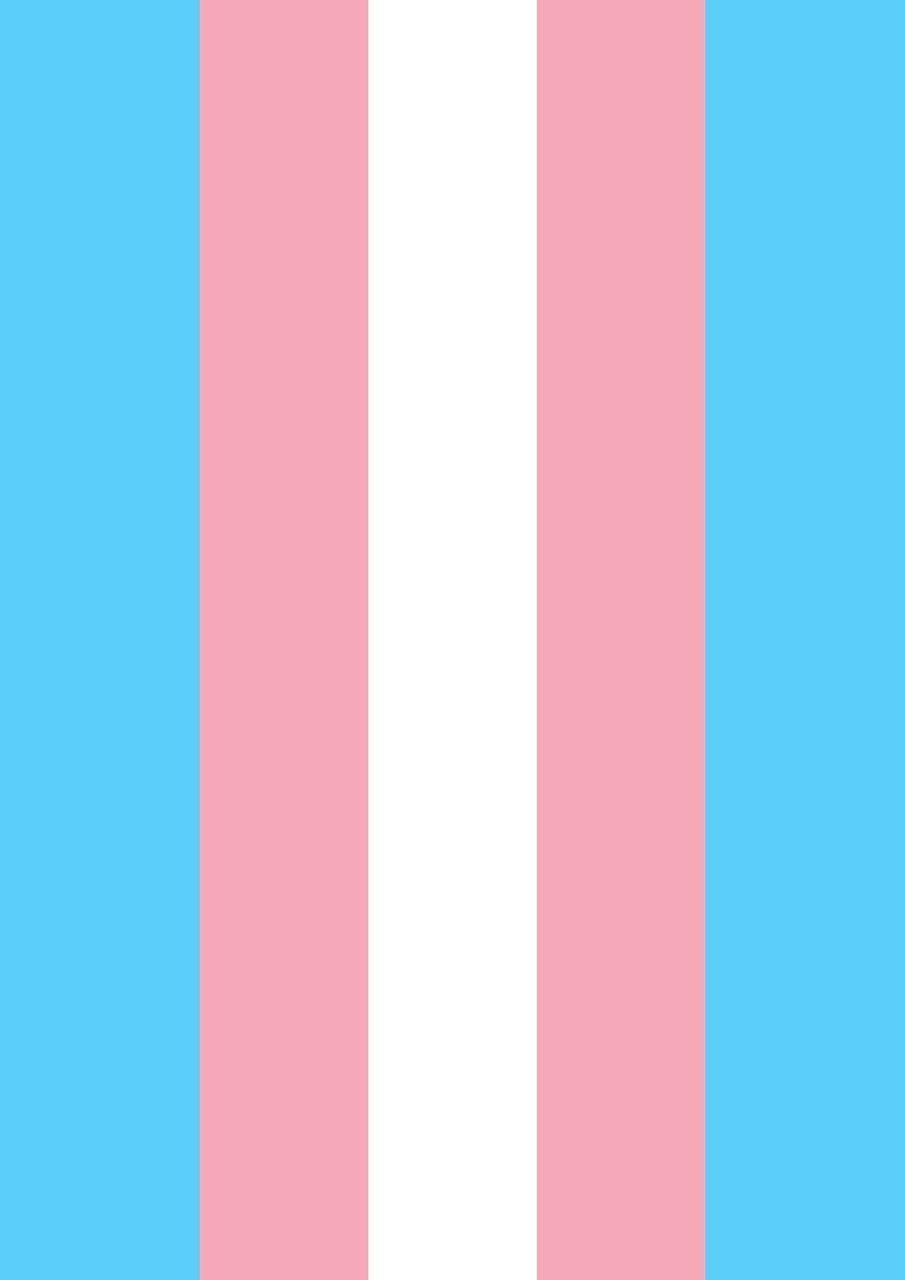 Flag trans The Trans