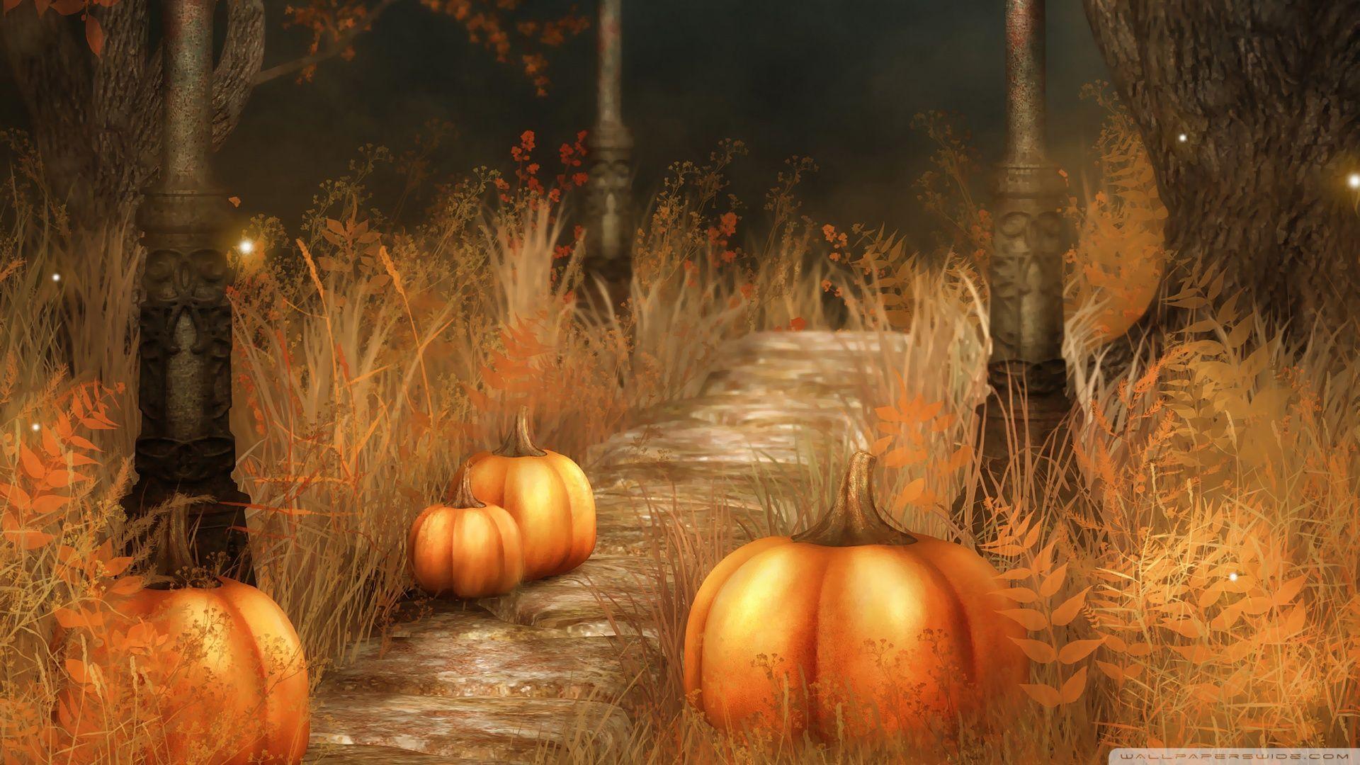 1920x1080 Hình nền Bí ngô Mùa thu Dễ thương.  Hình nền Halloween bí ngô miễn phí