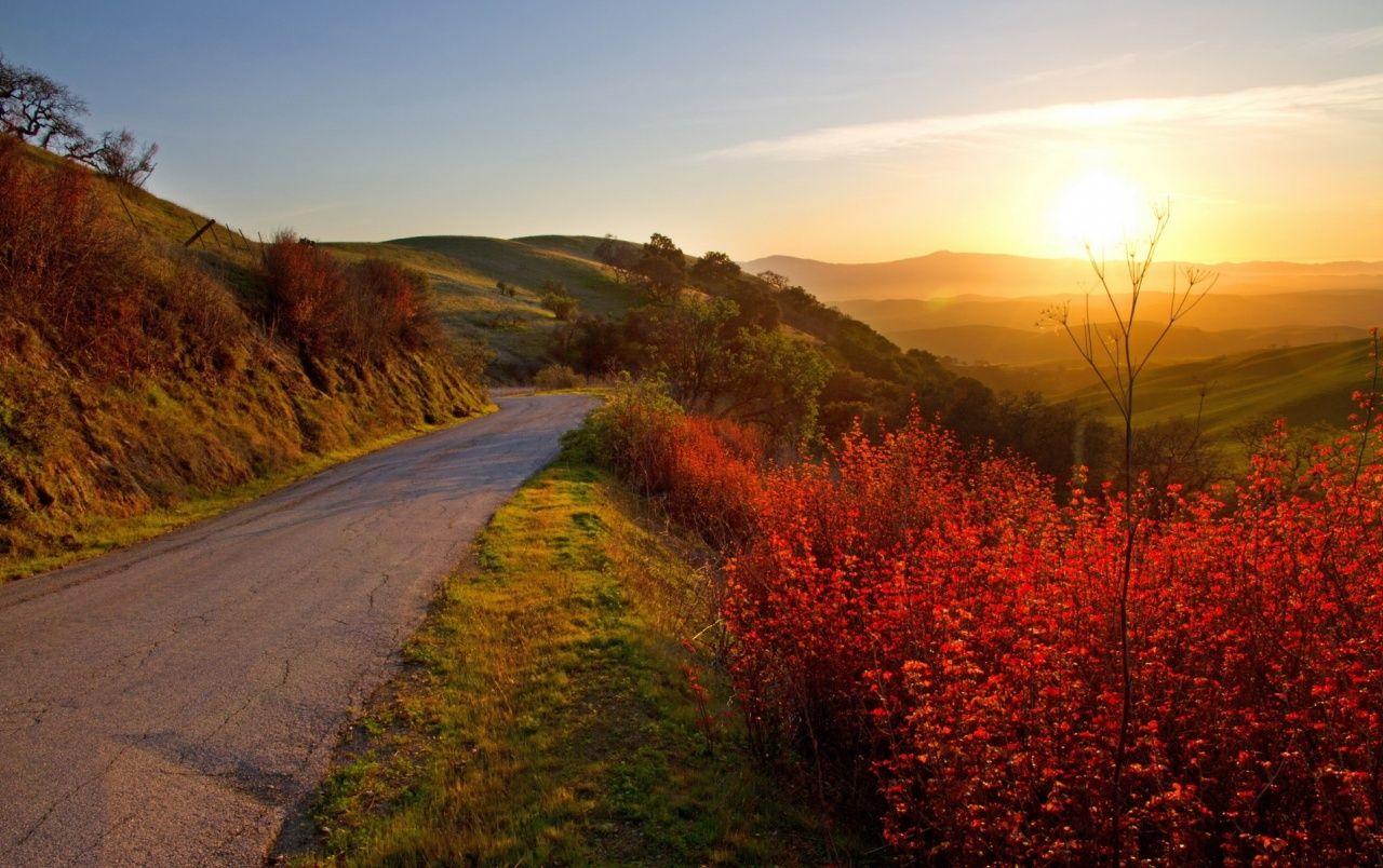 1280x804 Hills Road Plants & Sunlight wallpaper. Hills Road Plants