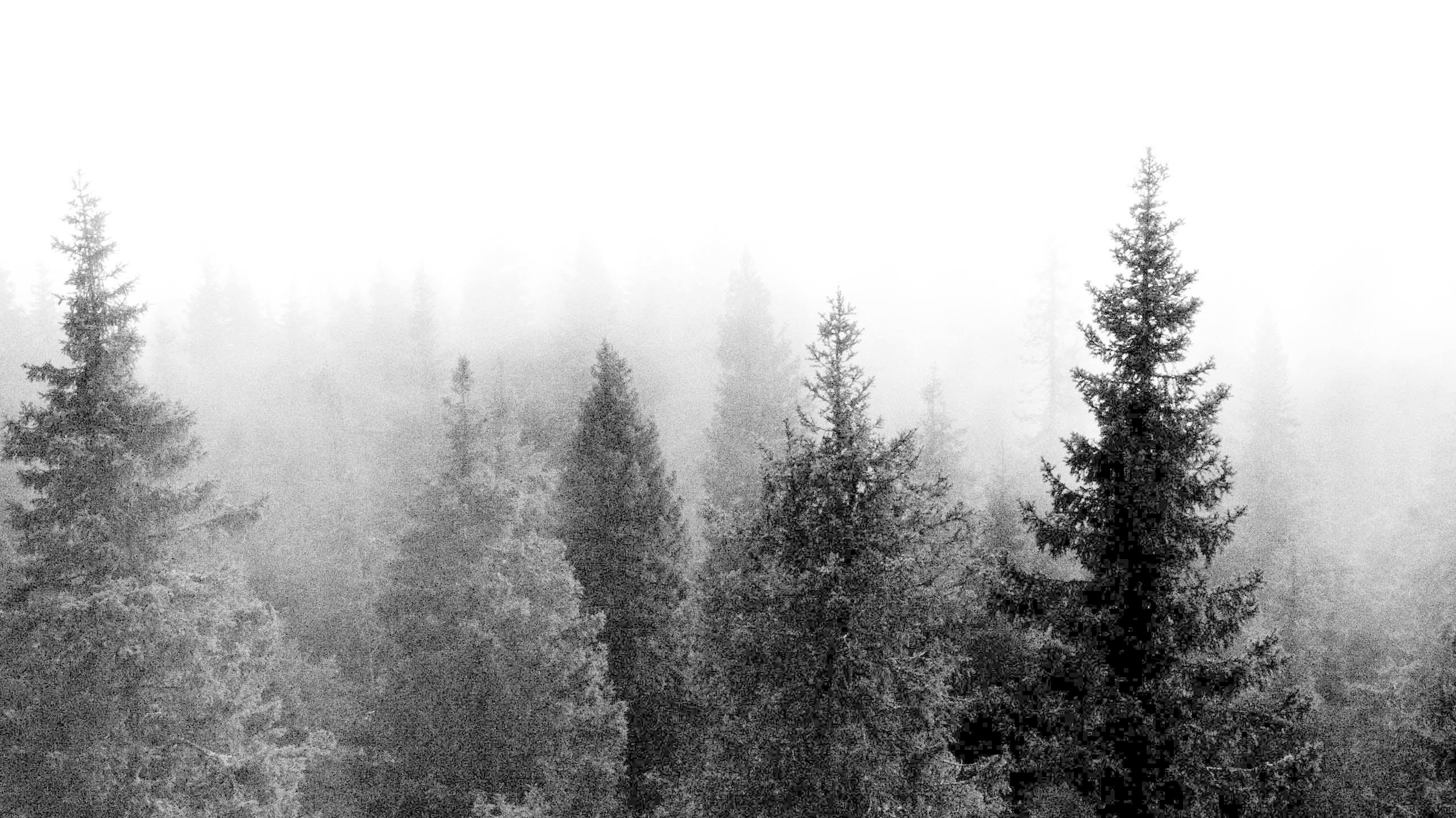 Cute Indie Wallpapers Top Free Cute Indie Backgrounds WallpaperAccess