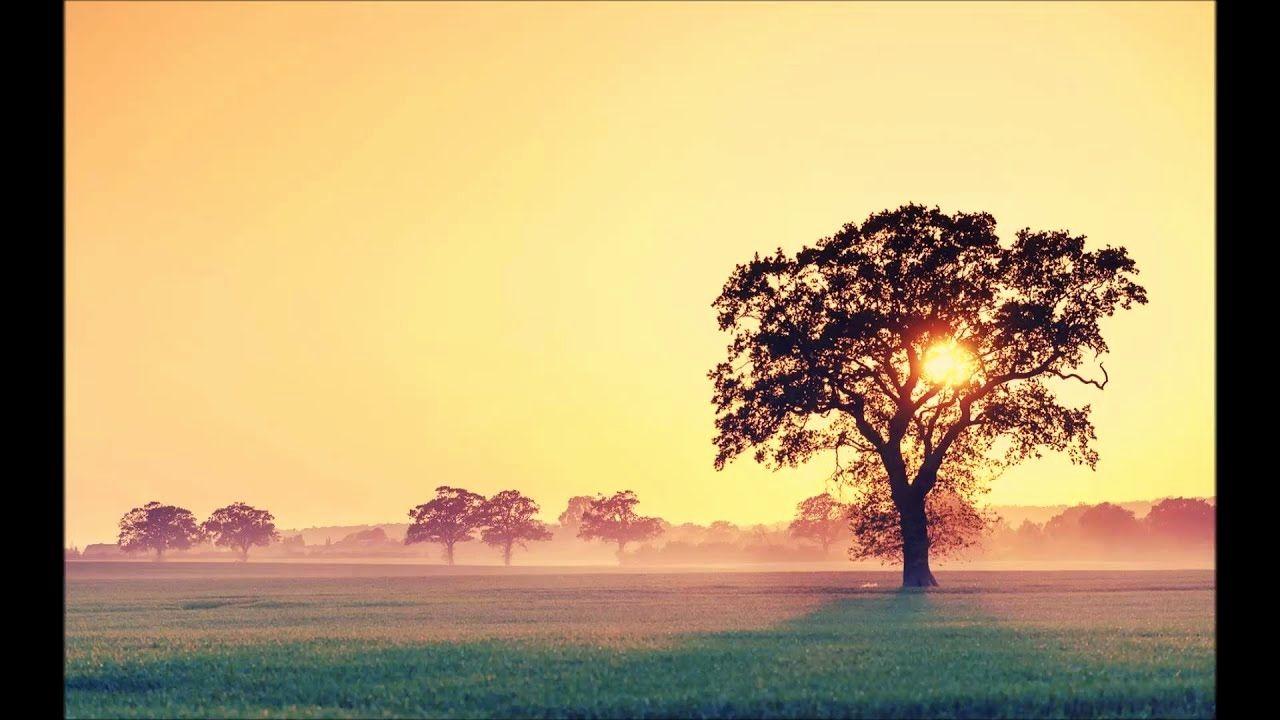 Indie Rock Wallpapers - Top Free Indie Rock Backgrounds - WallpaperAccess