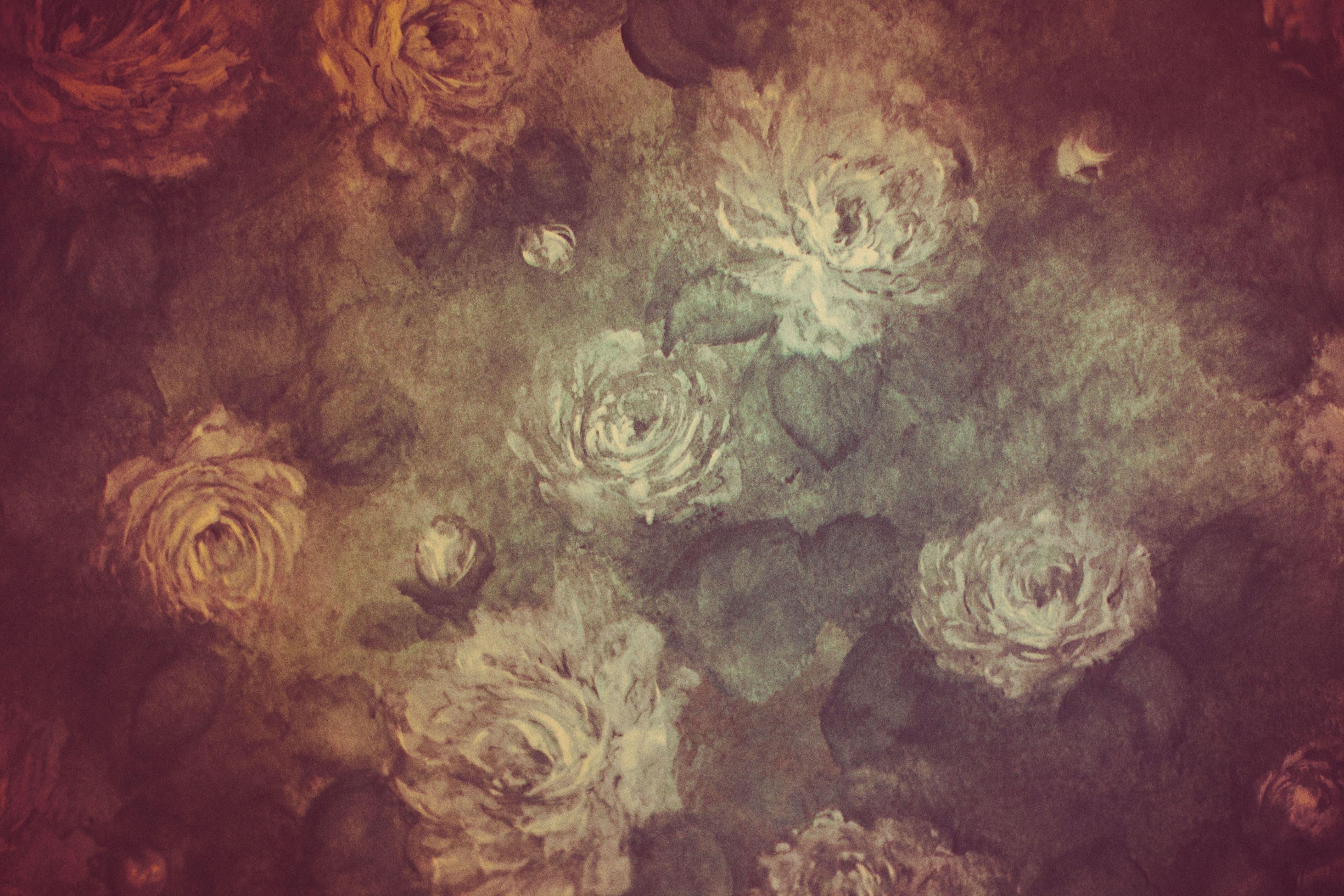 5616x3744 Nature Best Full HD Nature Background Wallpaper For Laptop