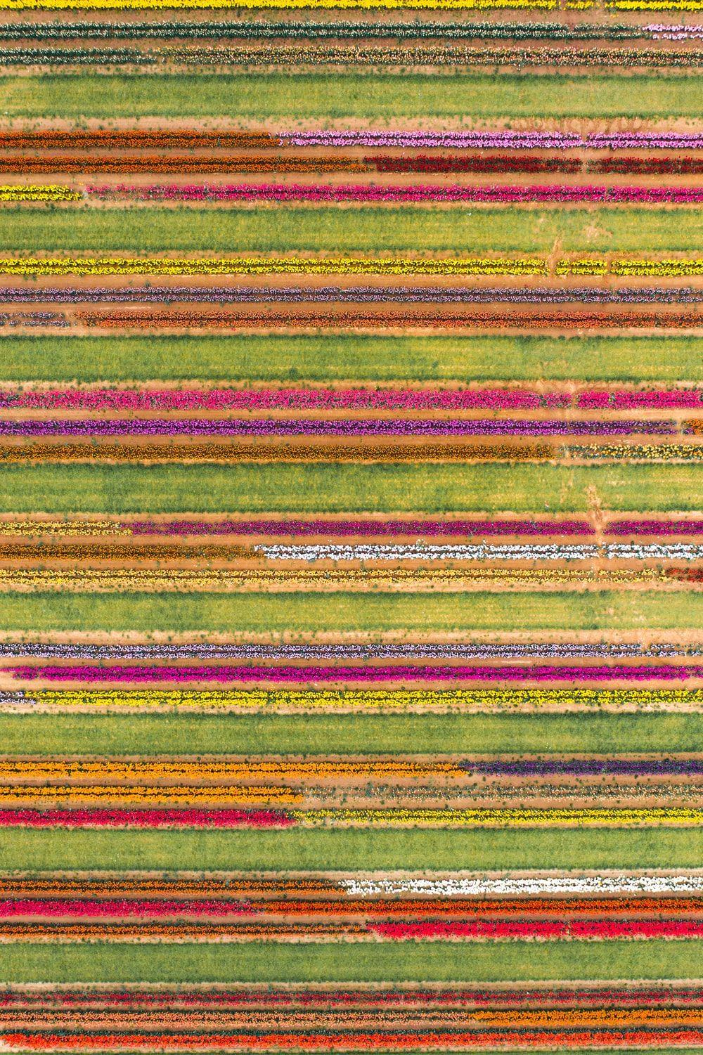1000x1501 Navajo Rug Picture. Download Free Image