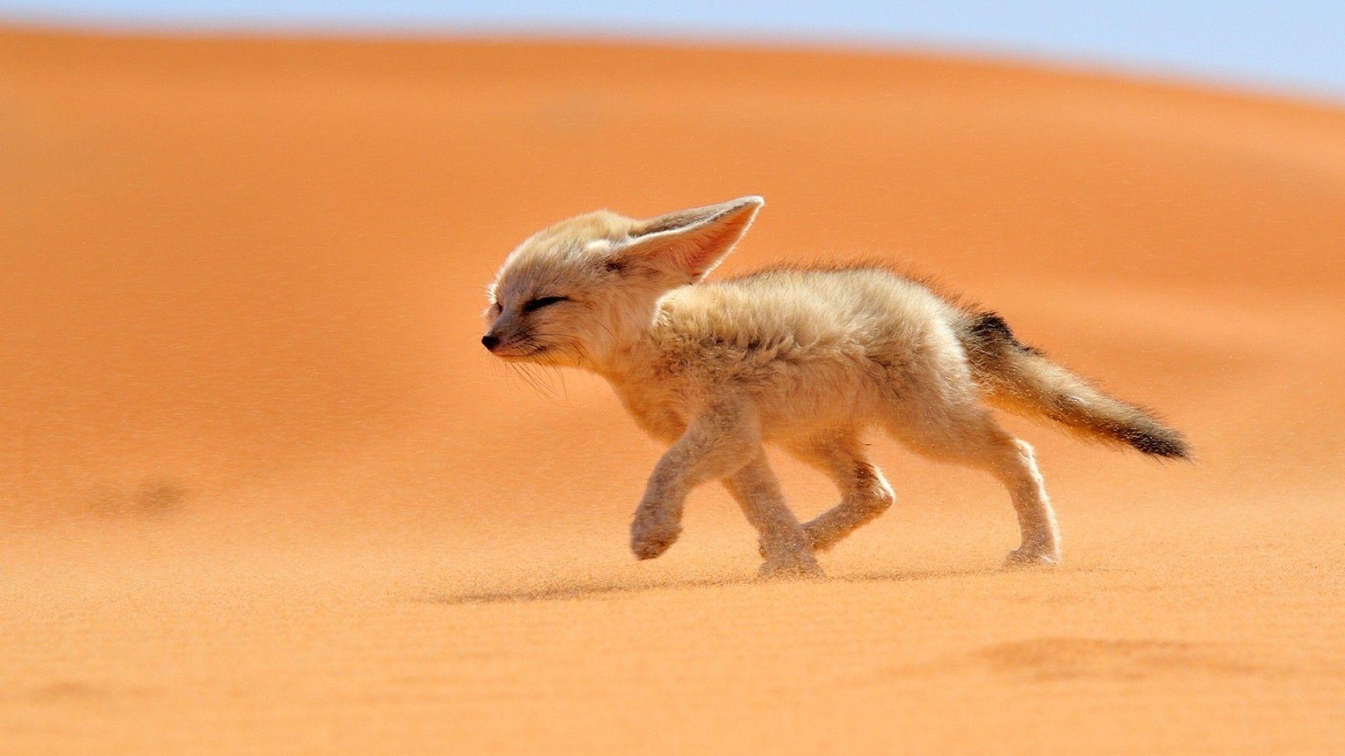 1920x1080 Morocco Wallpaper