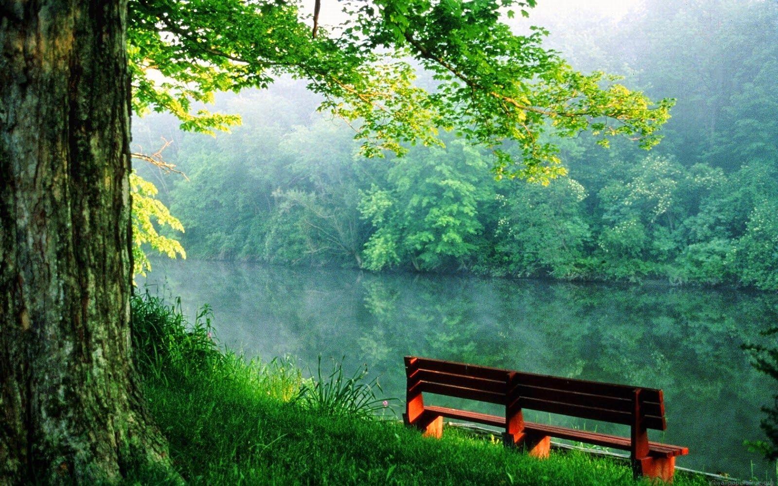 1600x1000 full HD nature wallpaper