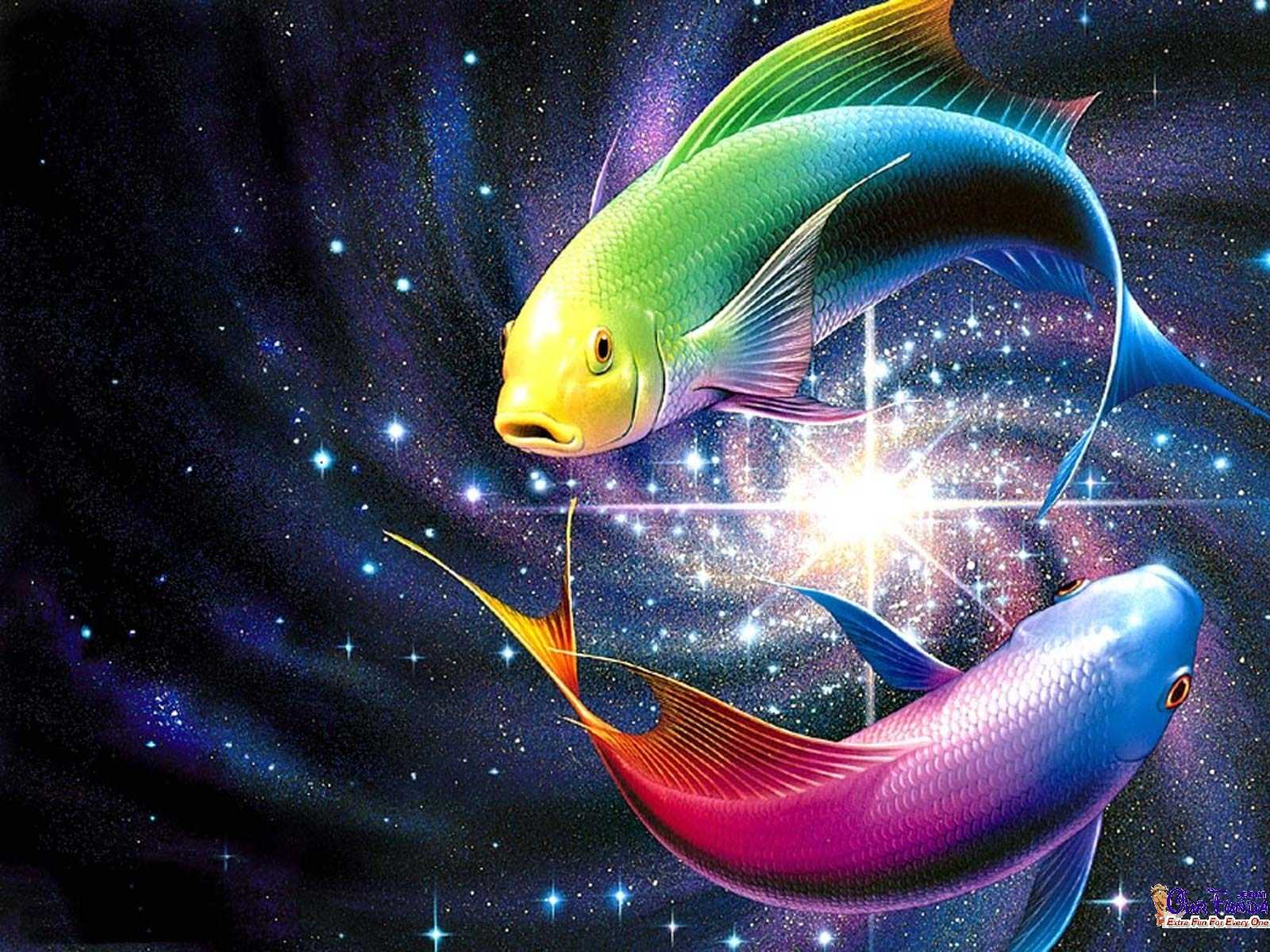 1600x1200 Free HD Wallpaper