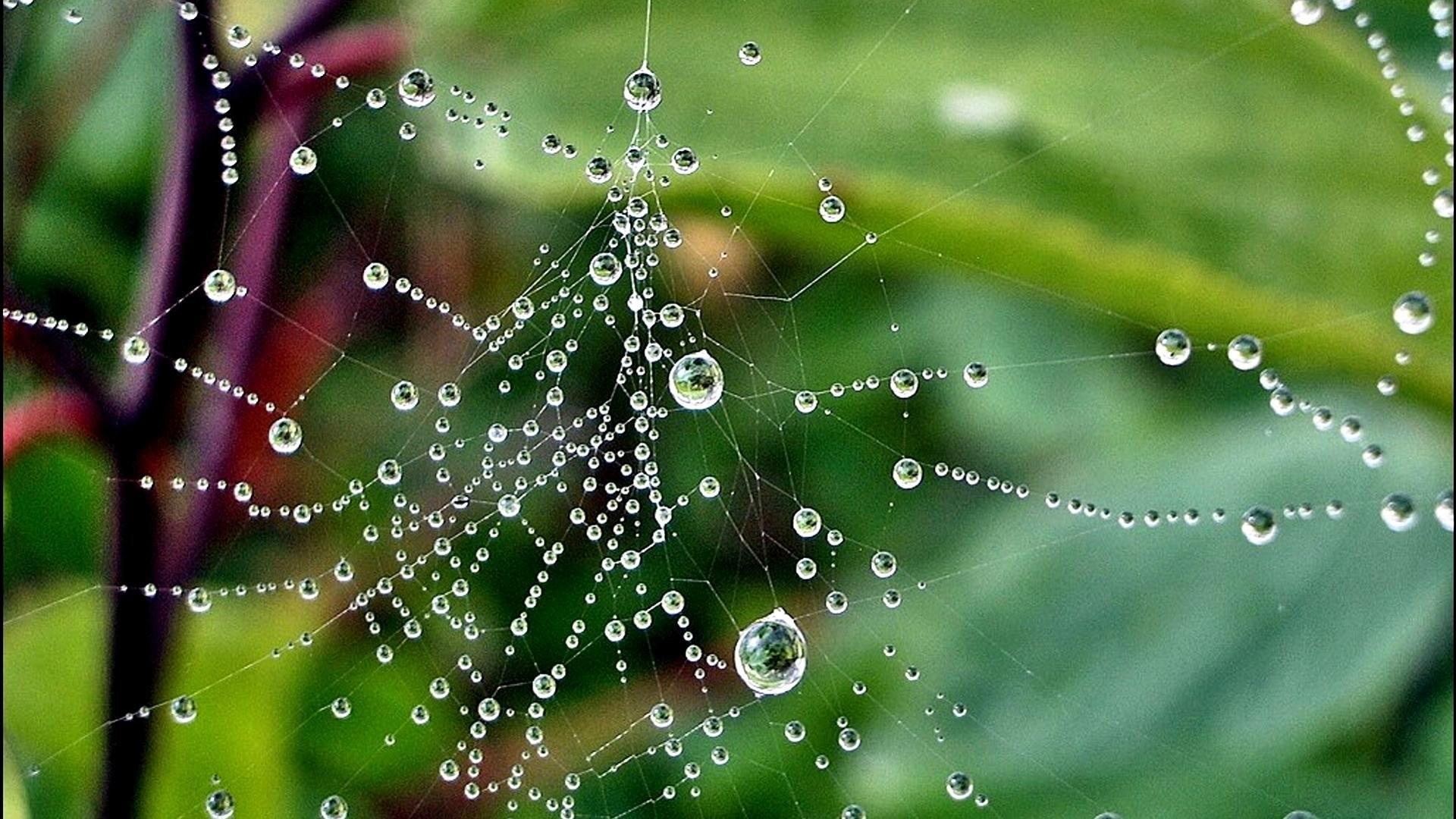 Hình nền HD 3D 1920x1080 https://wallpaperaccess.com/full/1959134.jpg