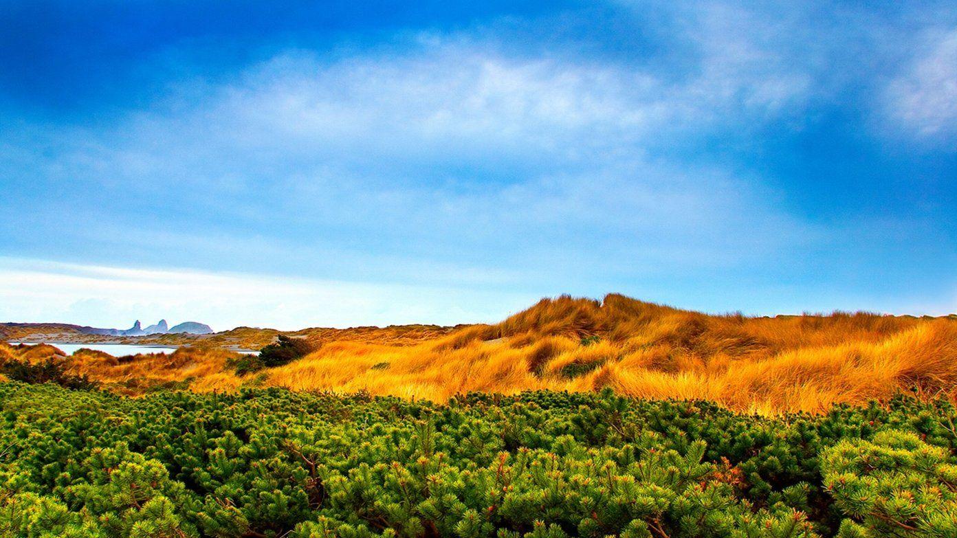 1392x783 Best Nature Wallpaper in 4K and Full HD for Desktop