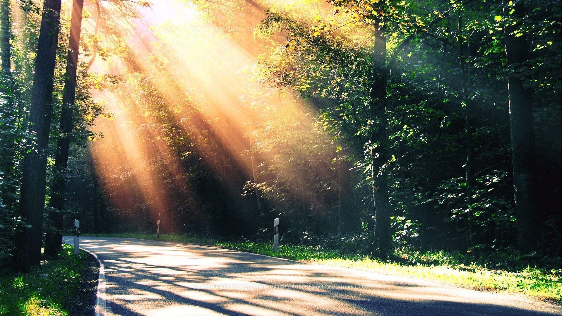 1920x1080 HD Nature Wallpaper 1080p