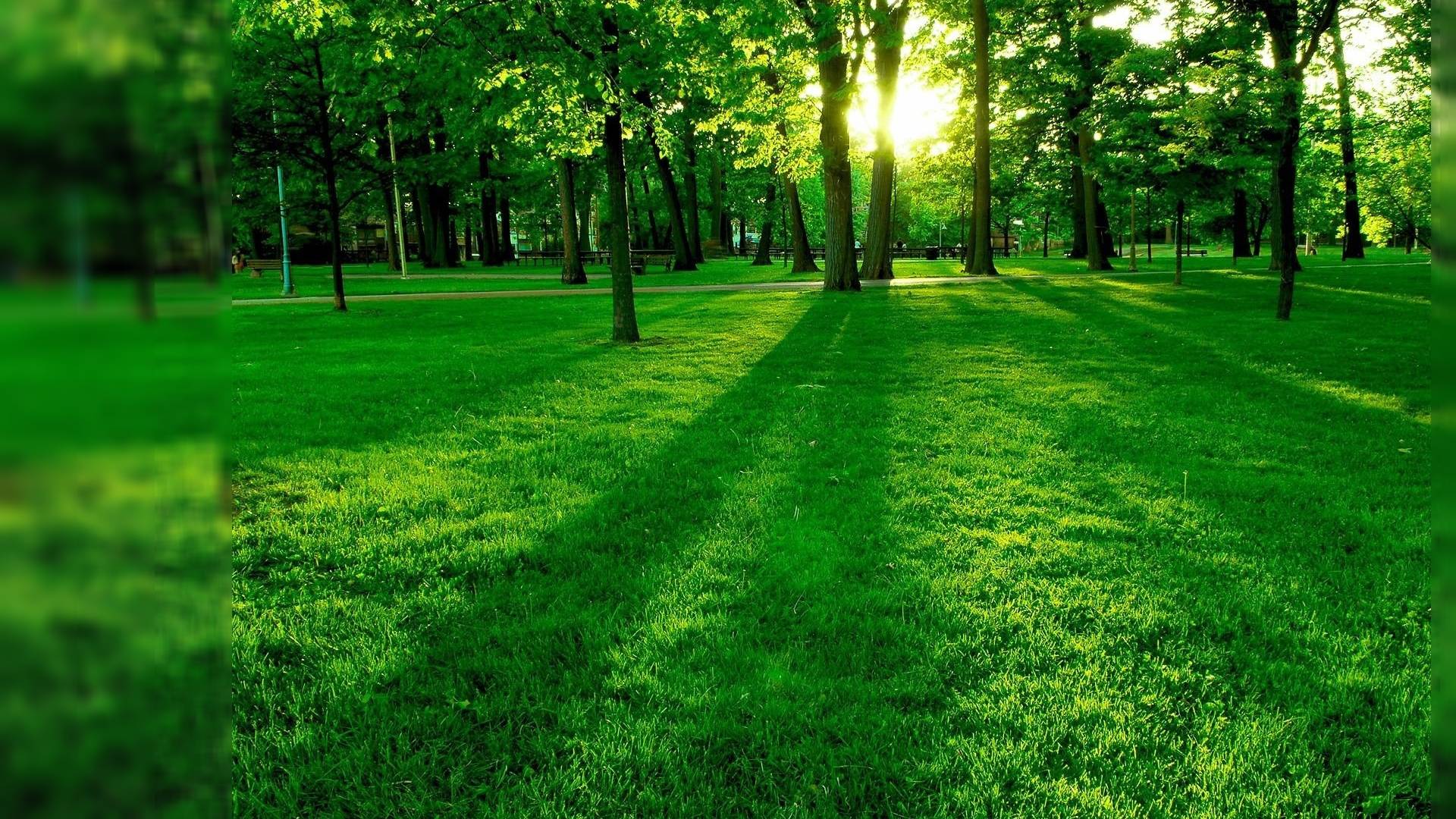 1920x1080 Full HD 3D Wallpaper Nature Pic Of Natural Beauty Free