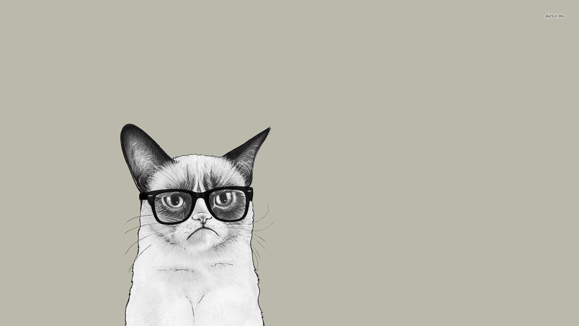 Hipster Cat Wallpapers - Top Free Hipster Cat Backgrounds - WallpaperAccess