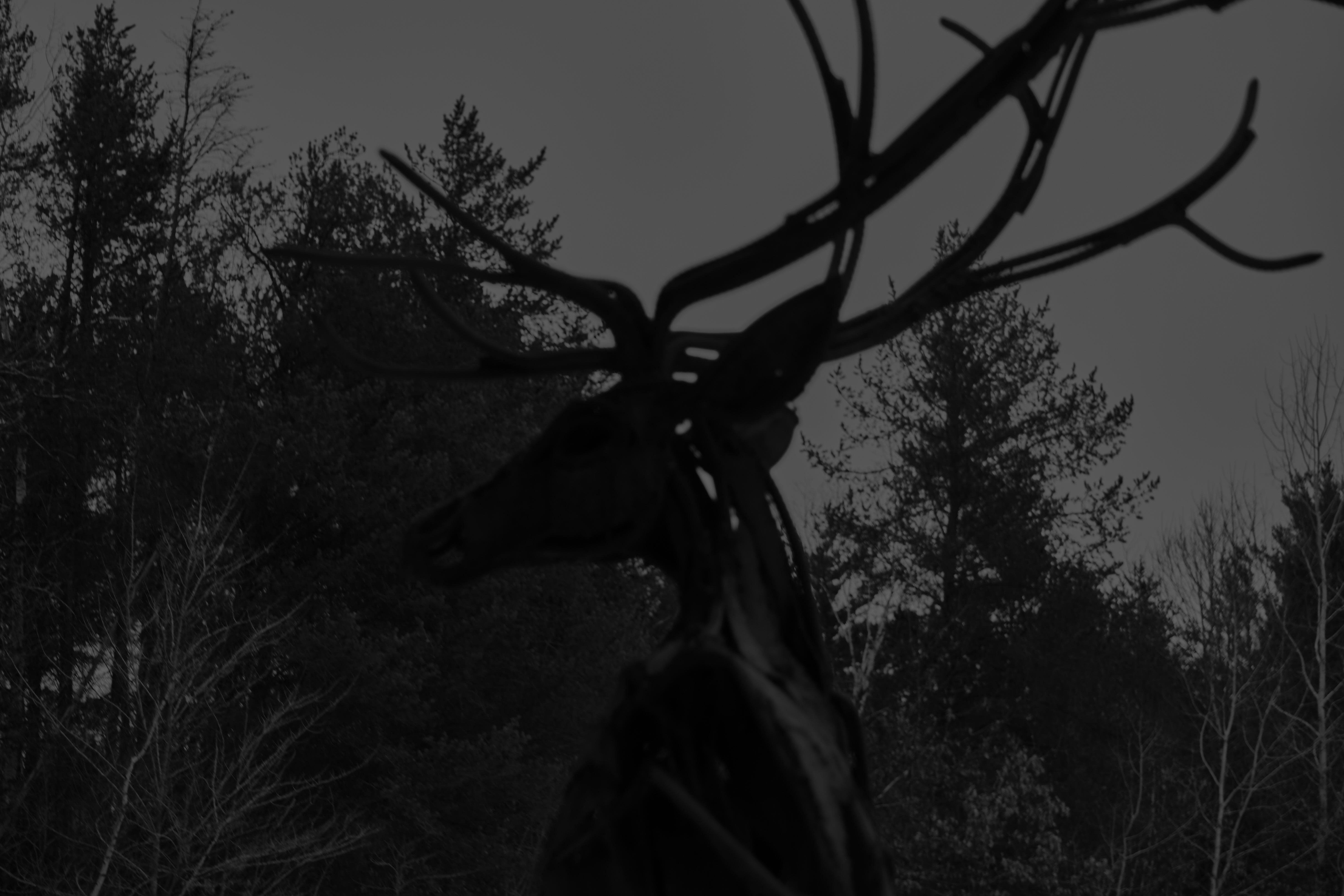 5899x3932 B and W Metal Stag 4K wallpaper