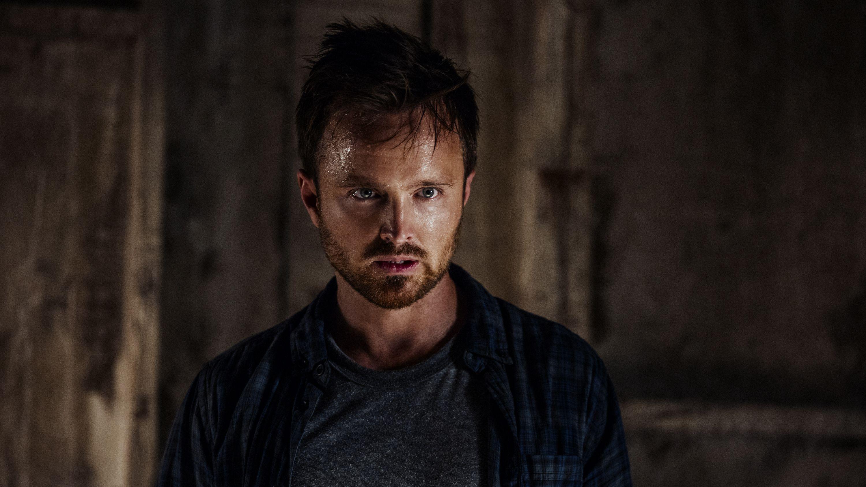 Aaron Paul Wallpapers Top Free Aaron Paul Backgrounds Wallpaperaccess