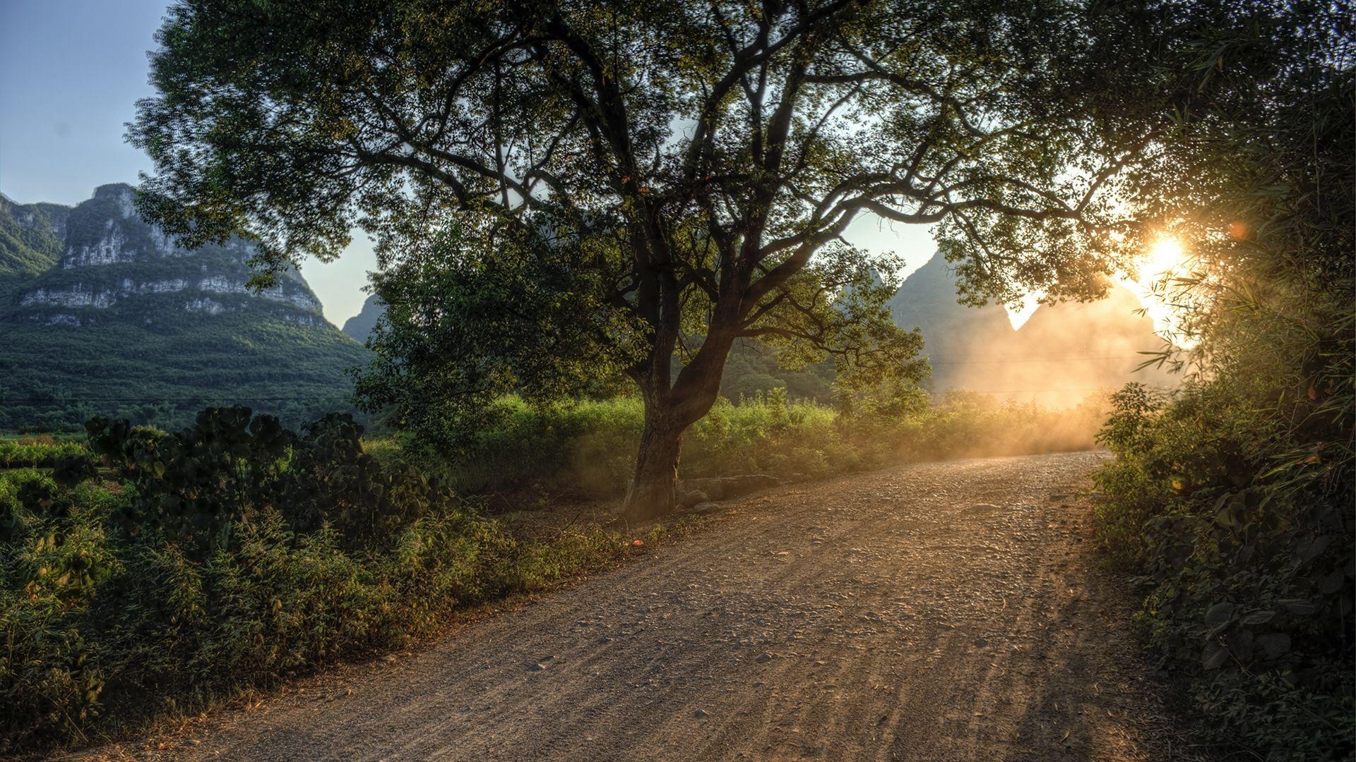 1920x1080 Download wallpaper 1920x1080 road, light, way, sun, trees