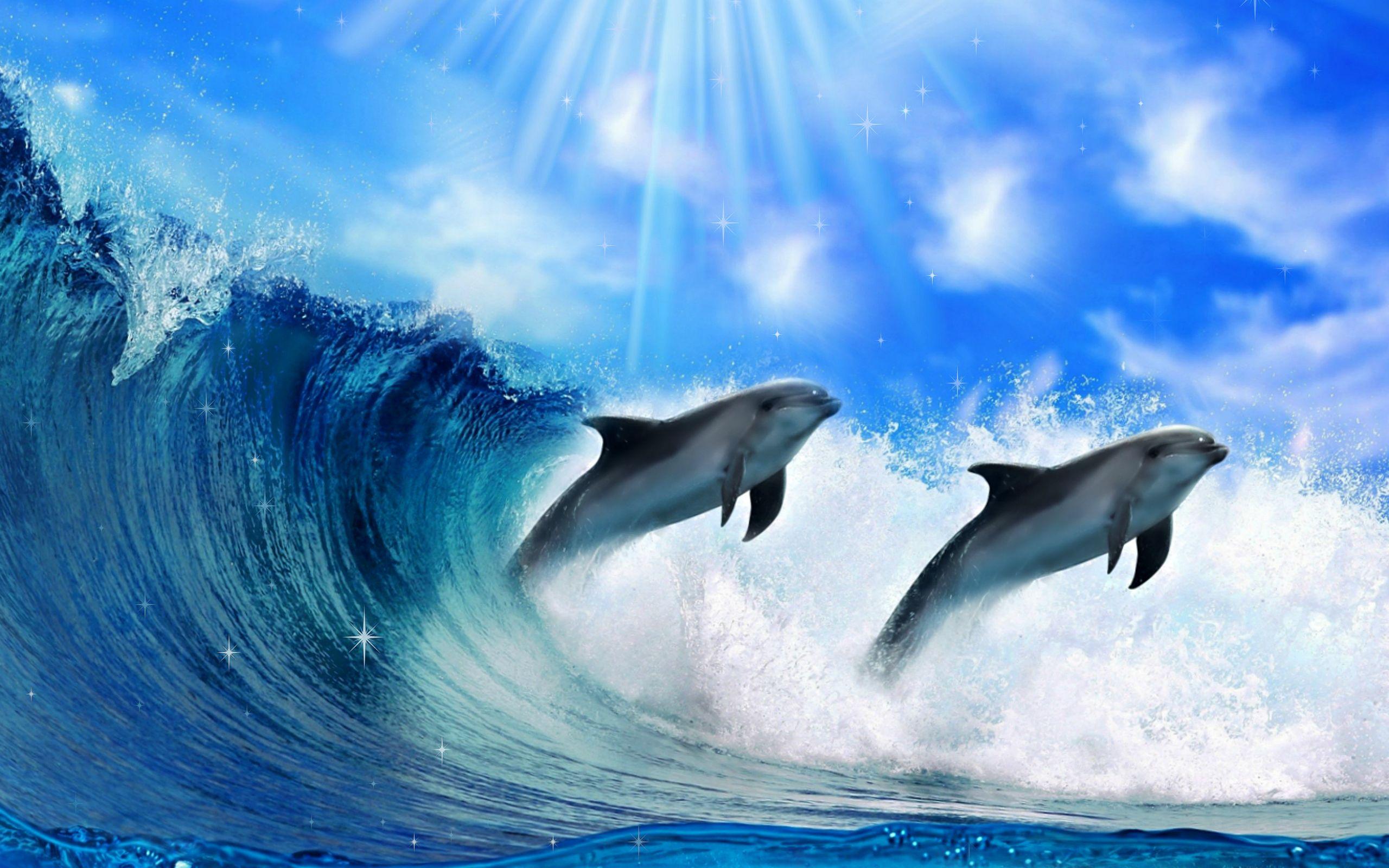 2560x1600 Dolphin Background. Rainbow Dolphin