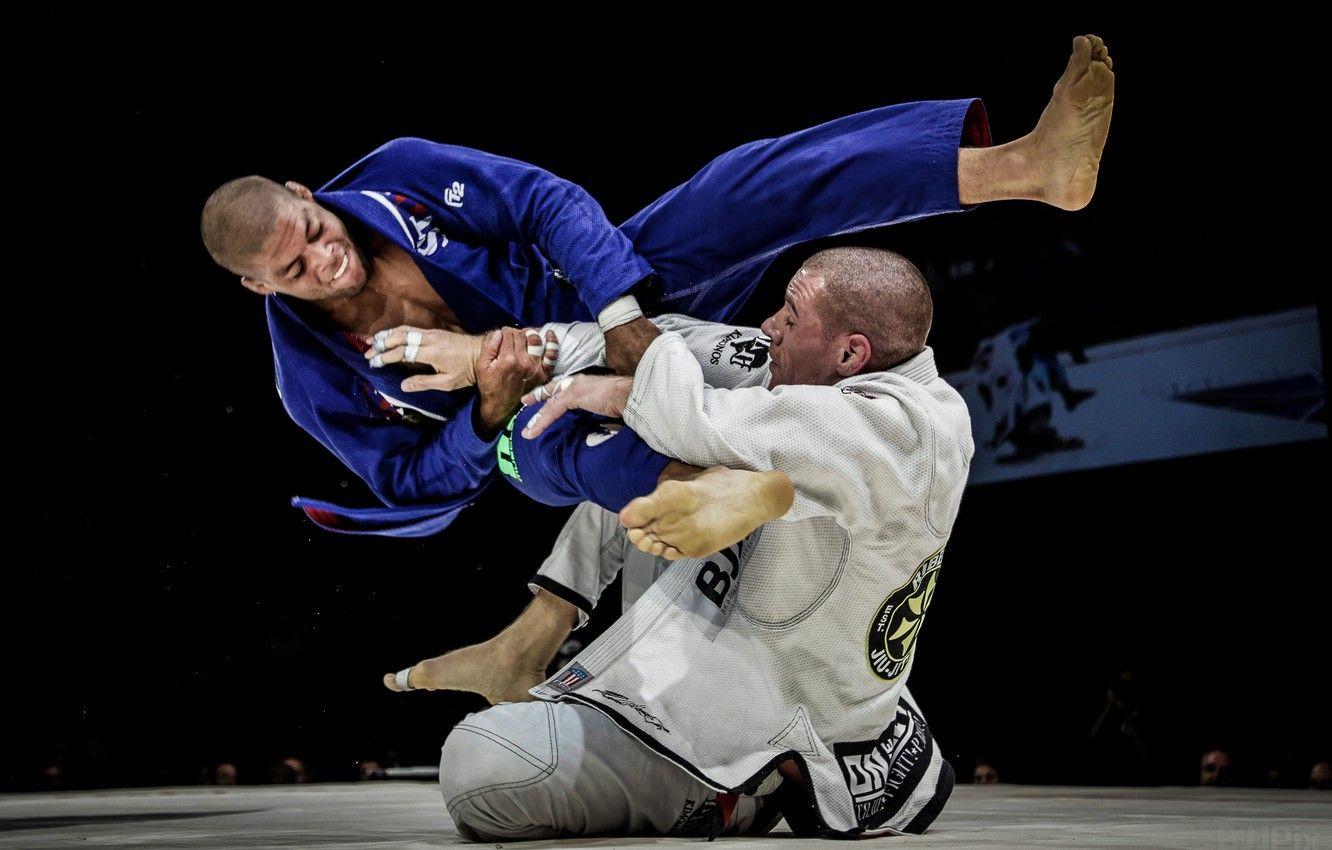 Damdekoli Brazilian Jiu Jitsu Poster 11x17 Inches BJJ Art Print for  Jujitsu Martial Arts Ground Combat  Amazonin Sports Fitness  Outdoors