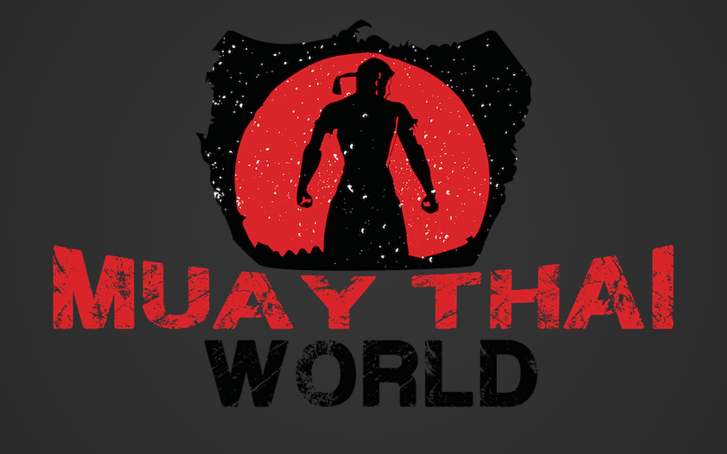 2880x1800 Muay Thai Wallpaper HD