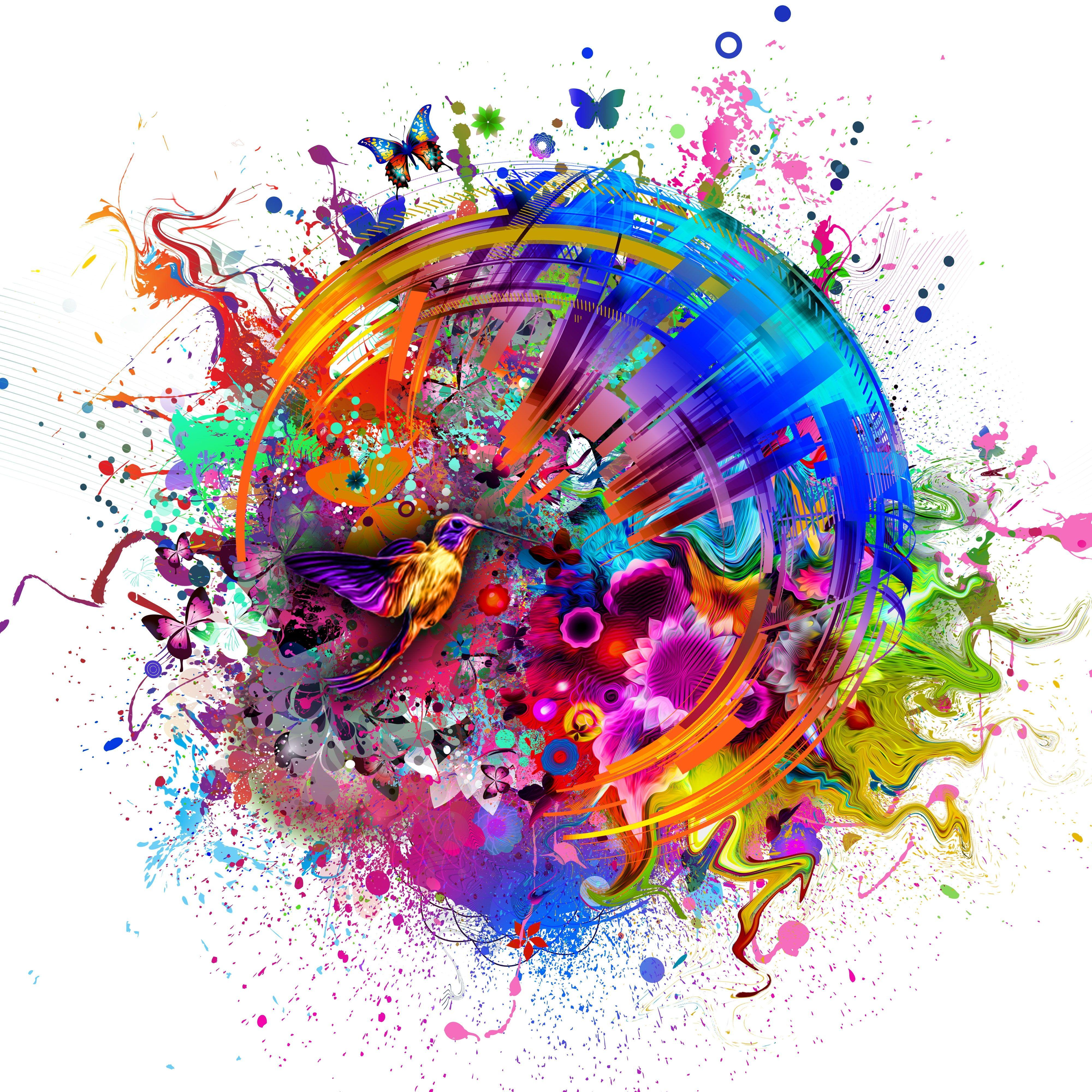 4000x4000 Abstract Colors Flashy Bird 4k Wallpaper and Free