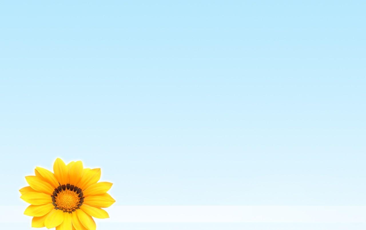 1280x804 Summer flower wallpaper. Summer flower