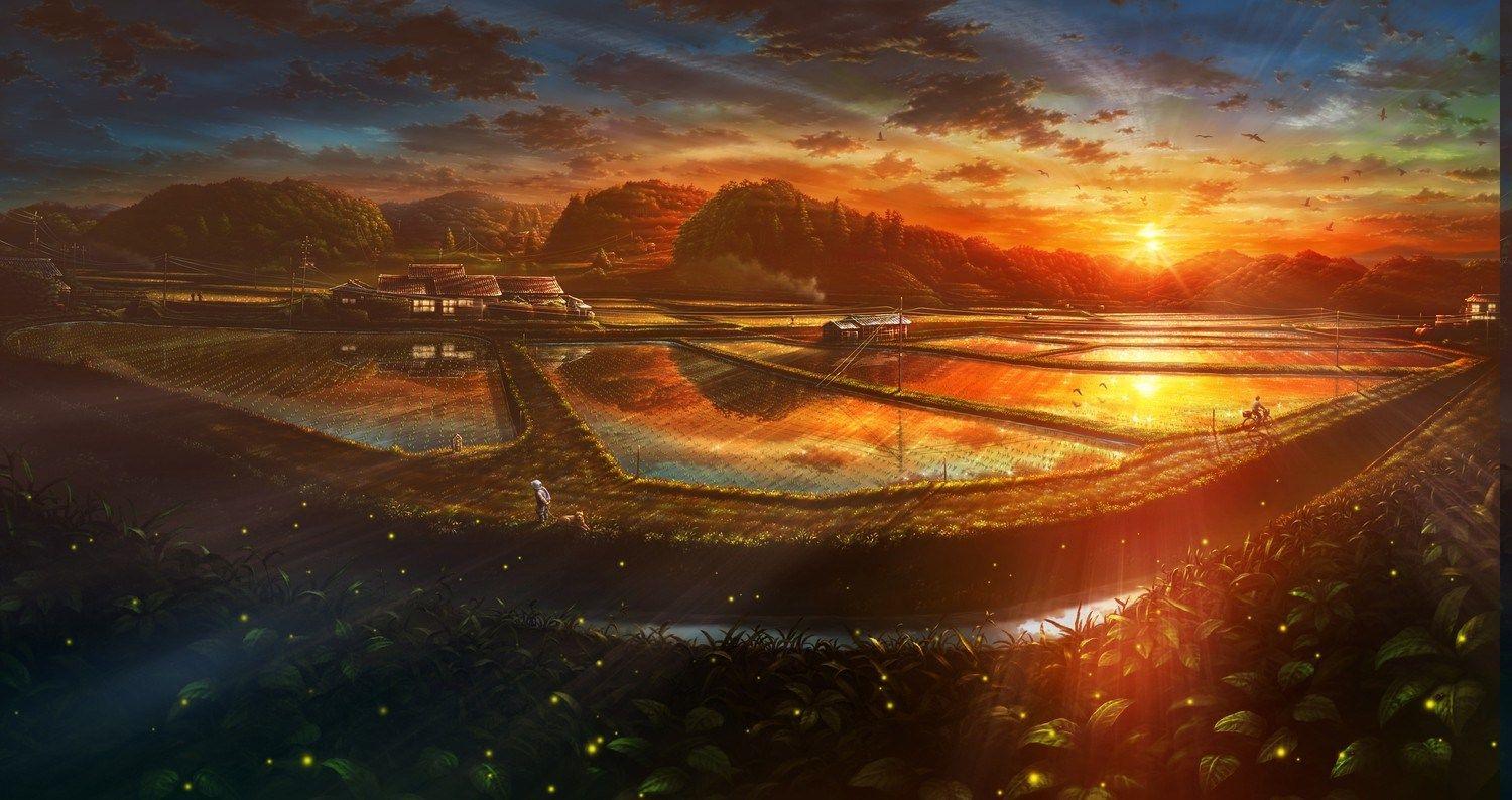 1500x794 Anime Village Rice Sunset Wallpaper HD Desktop And