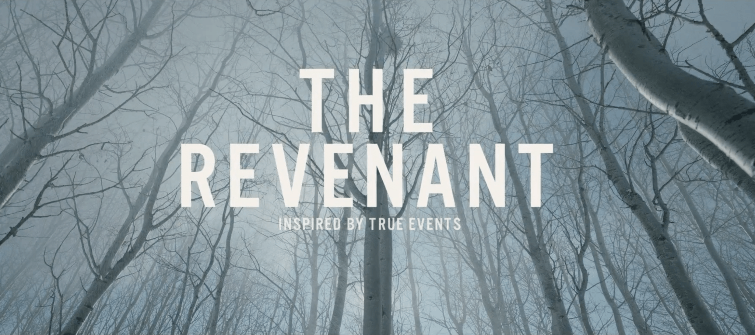 Free download The revenantClick here to download nature wallpaper Download  736x1309 for your Desktop Mobile  Tablet  Explore 48 The Revenant  Wallpapers  The Lord Of The Rings Wallpaper The Wallpapers