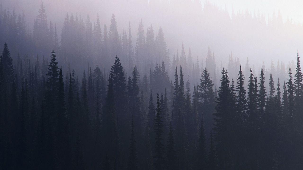 1280x720 Free download Pale Grunge Blog Here [1280x720]