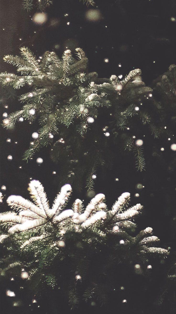 Featured image of post Tumblr White Christmas Aesthetic Uploaded by h e l l o